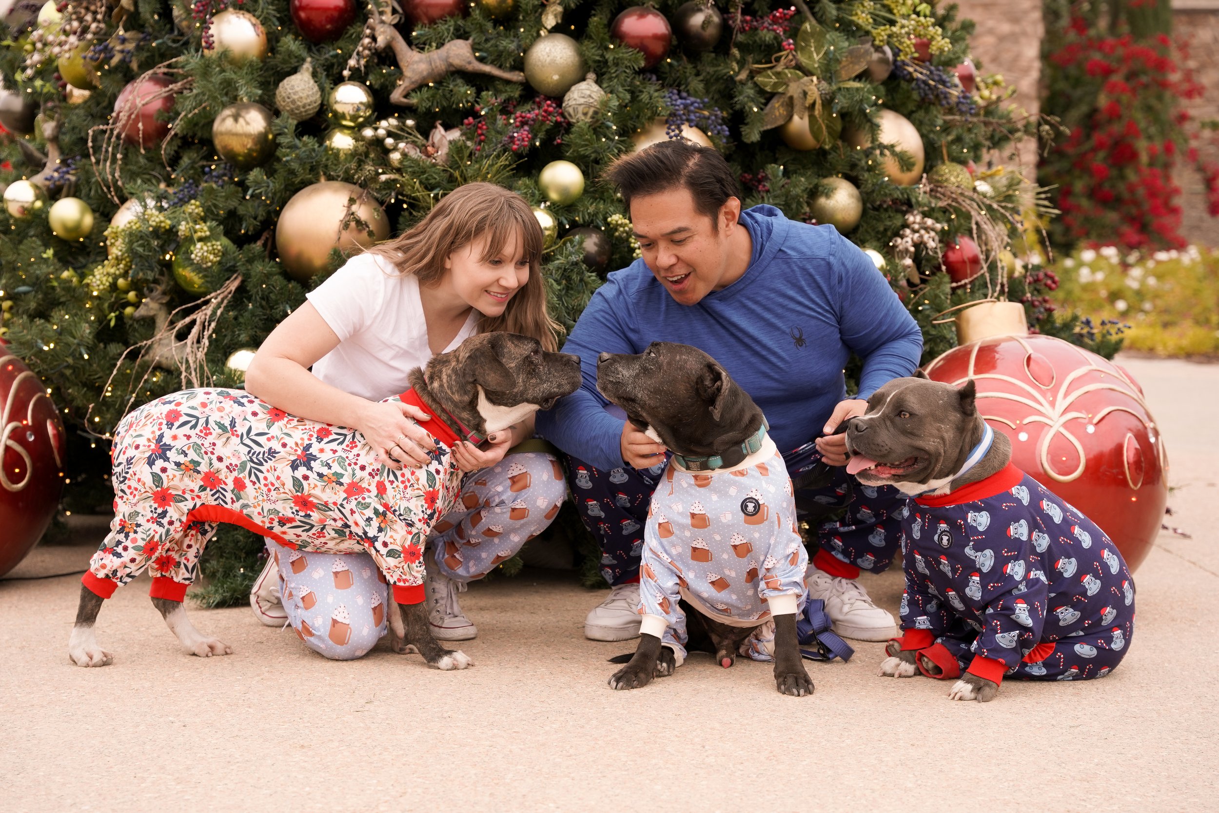 Holiday memories made at Europa Village Winery in Temecula! This beautiful family photoshoot featured cozy moments, vineyard charm, and their three adorable fur babies—capturing the joy of the season in one of Southern California’s most scenic wine c