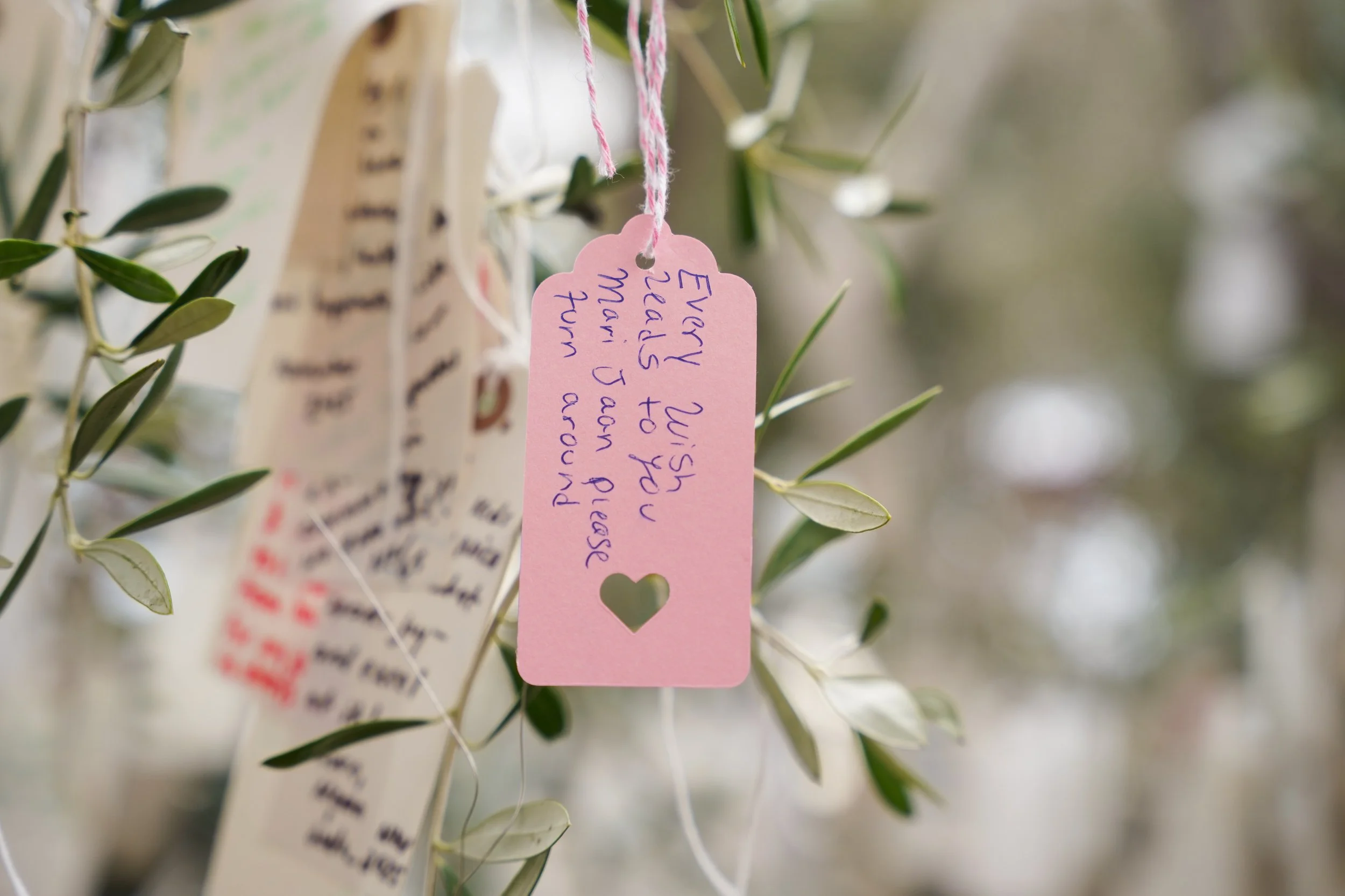 Close-up of a handwritten love note hanging on the Wishing Tree at Estancia La Jolla, captured during a romantic surprise proposal. Soft golden light highlights the tree’s branches, creating an intimate and heartfelt moment.