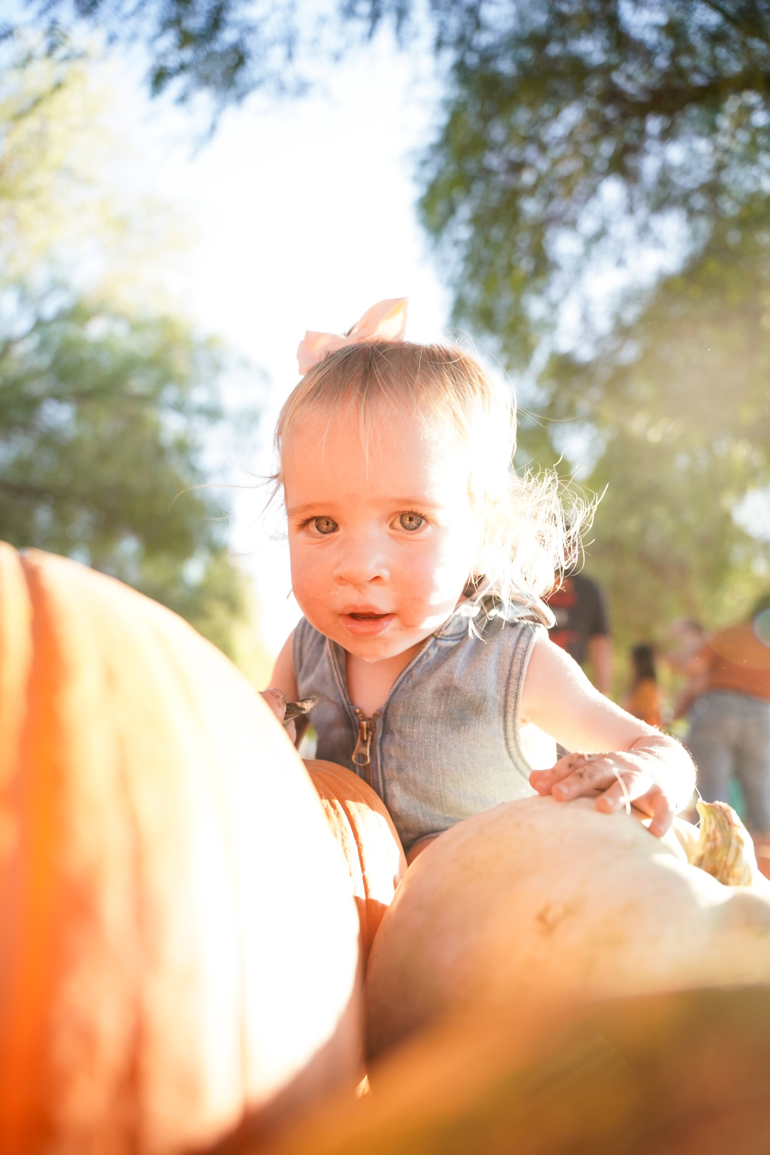 Fall family photos at the pumpkin patch in Temecula, CA! This seasonal photoshoot captured joyful moments with the kids, surrounded by pumpkins, golden light, and rustic charm—perfect for updating family portraits and celebrating autumn in SoCal.
