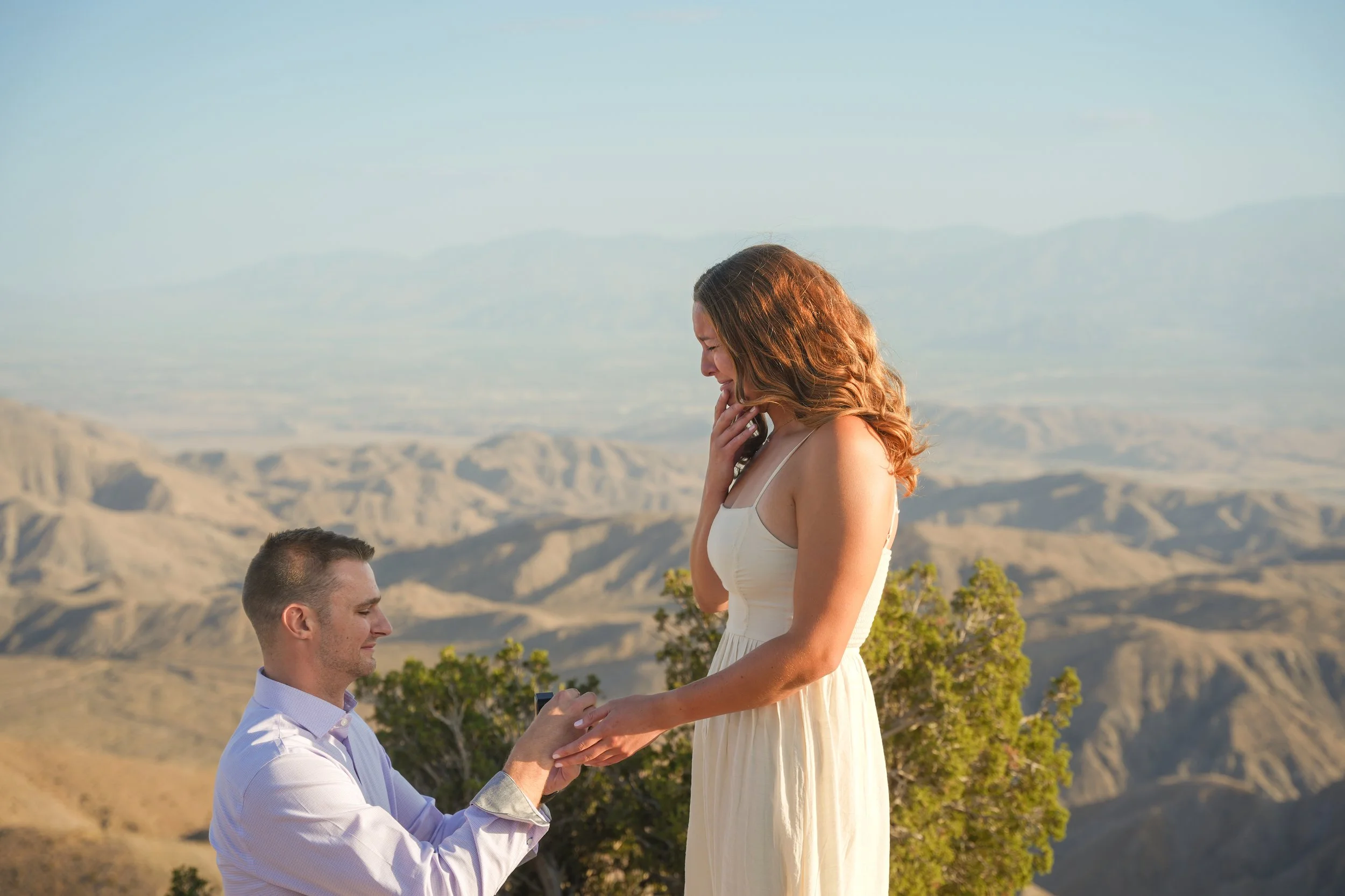 Keys View Surprise Proposal Joshua Tree