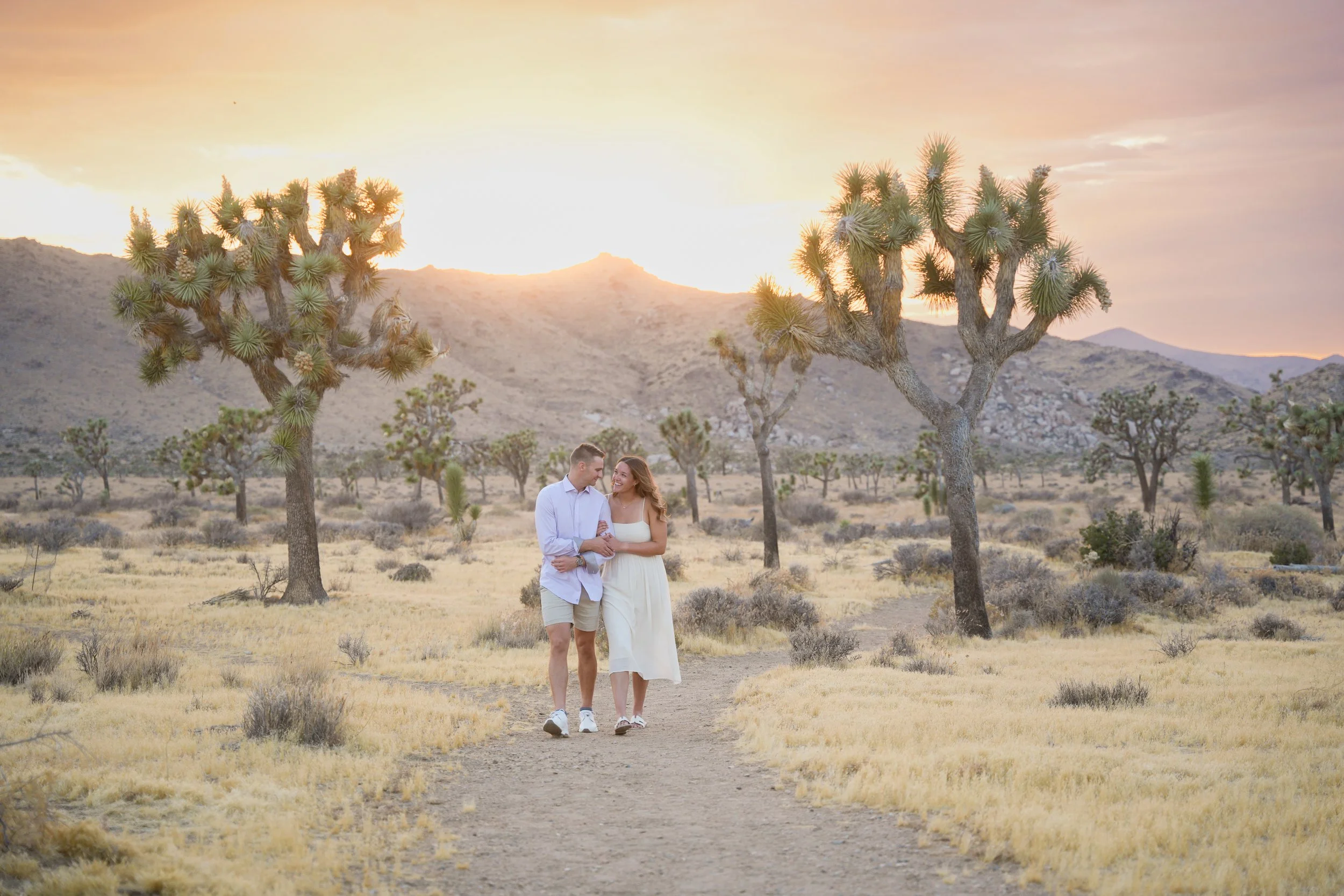 Recently engaged couple walks through Joshua trees at sunset after a surprise proposal in Joshua Tree National Park, California.