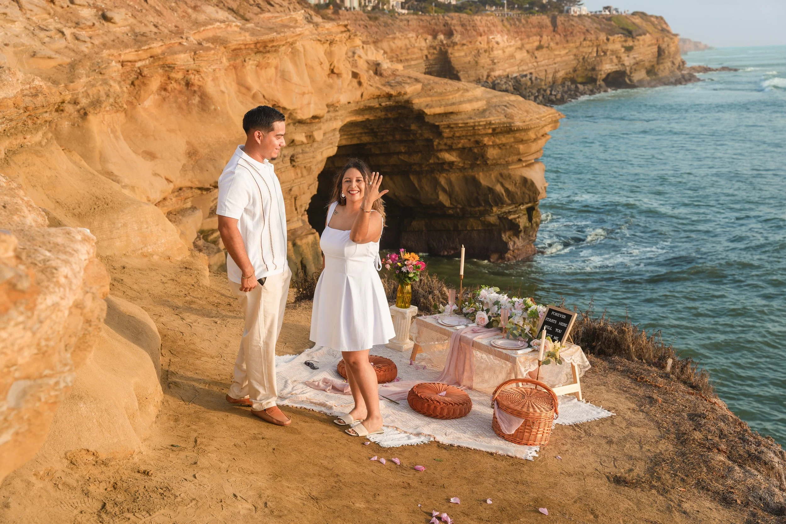 San Diego Sunset Picnic Proposal