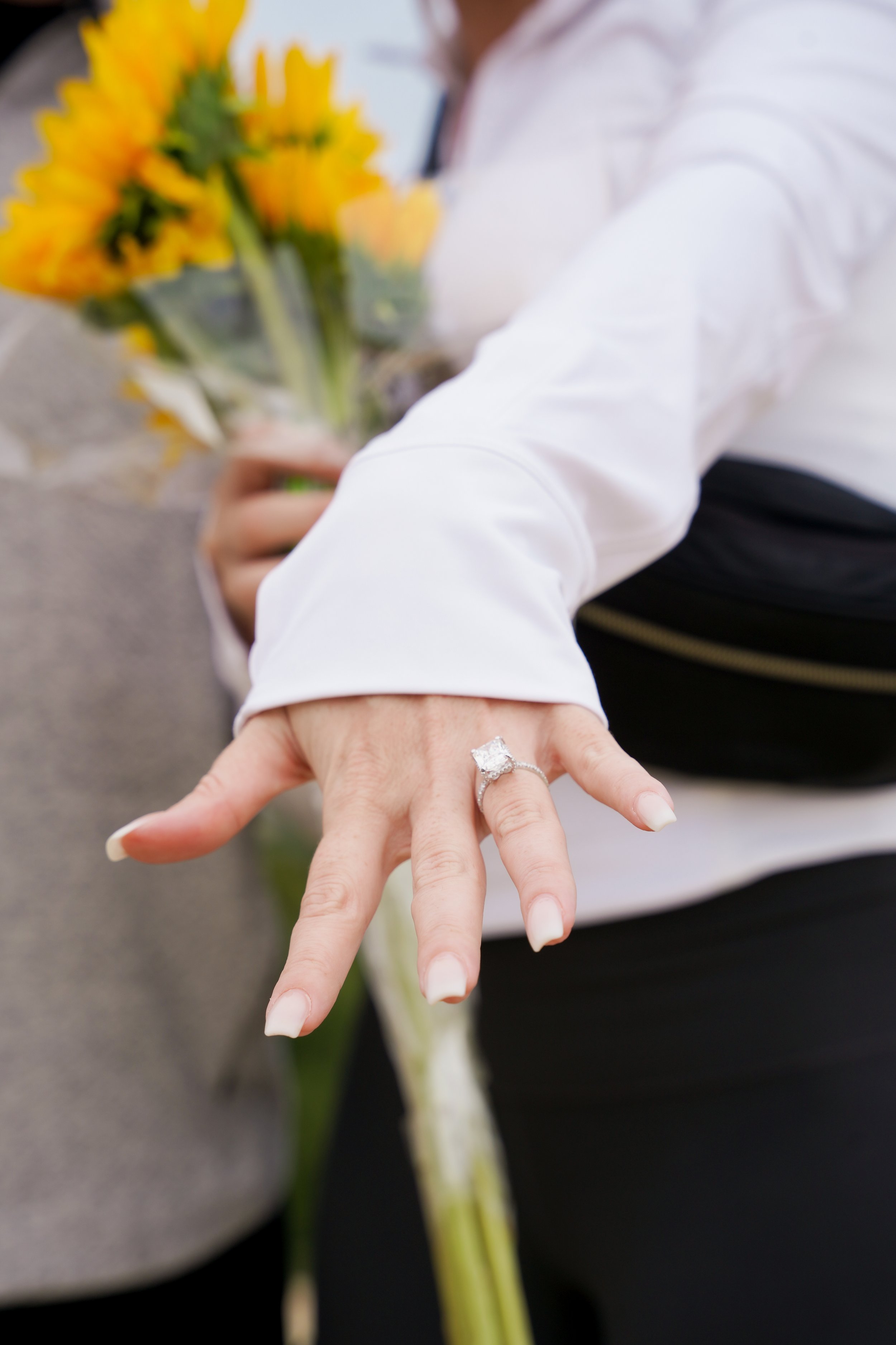 She said yes! 💍 A surprise proposal at Torrey Pines, booked last minute and captured just in time. La Jolla’s golden cliffs, ocean breeze, and pure magic—this moment couldn’t have been more perfect.