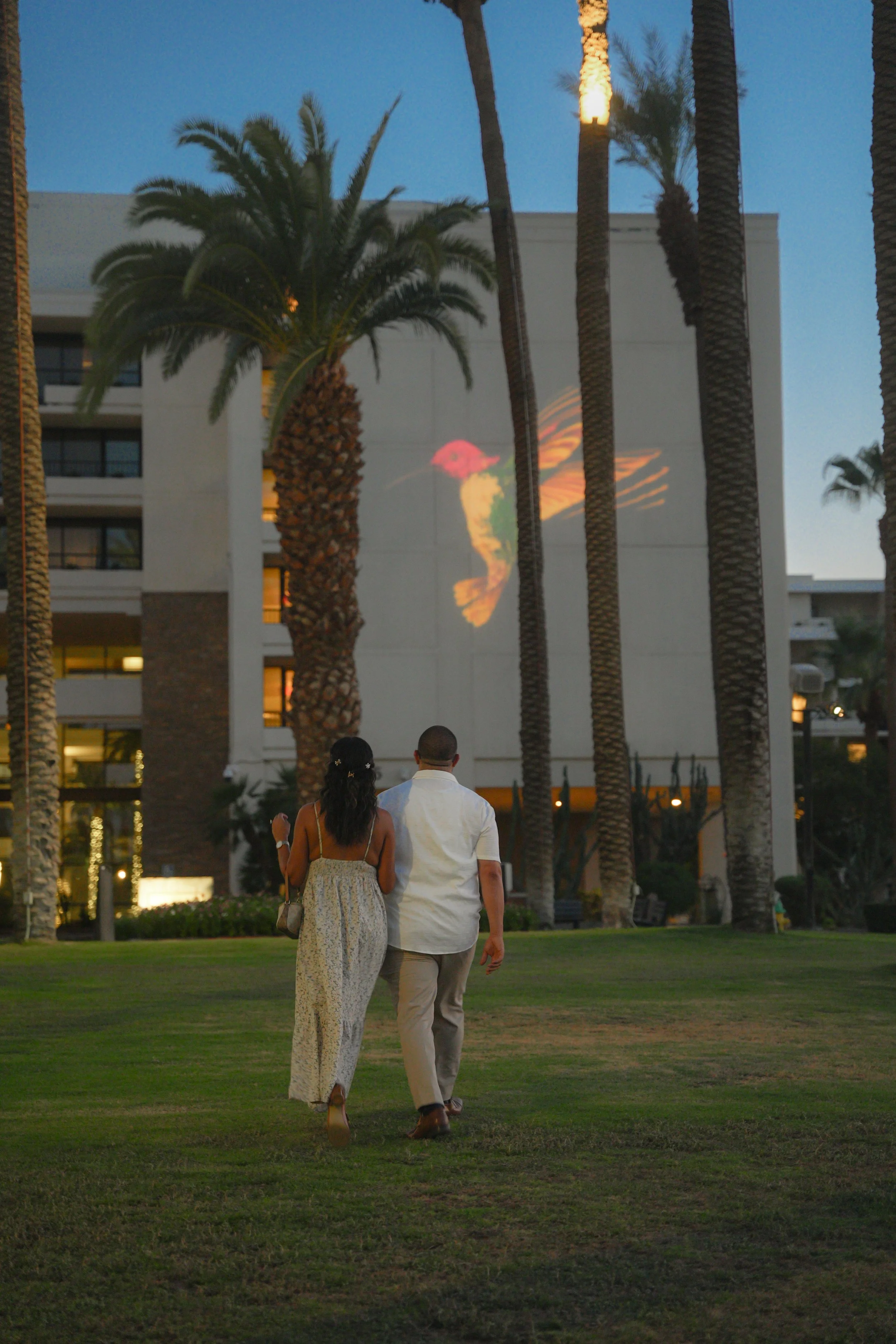 Southern California Desert Resort Proposal