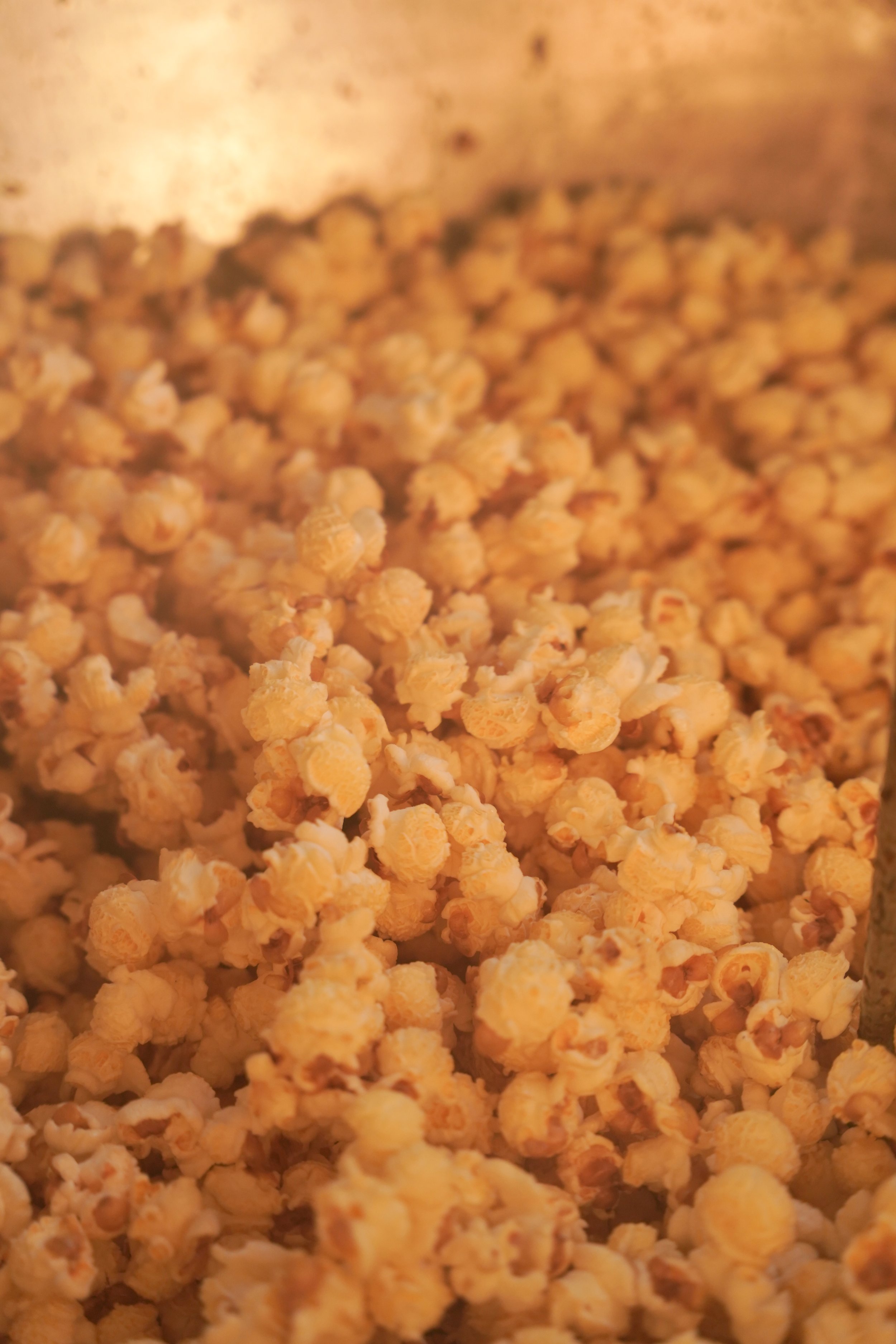 Commercial photography for Cali Kettle Corn at Peltzer Farm in Temecula—capturing charm, flavor, and farm vibes.