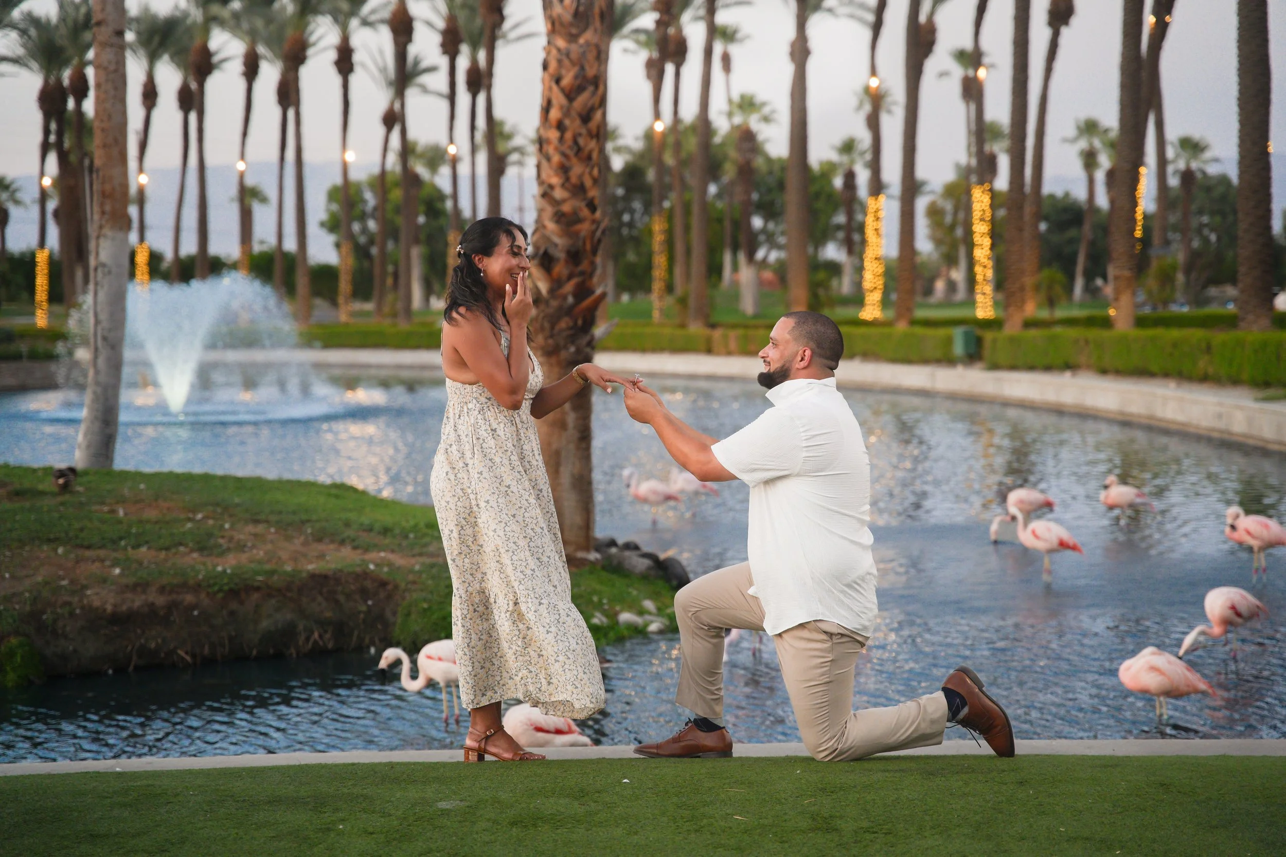 Surprise proposal at JW Marriott Desert Springs in Palm Desert, captured on Flamingo Island surrounded by water, palm trees, and resort scenery.