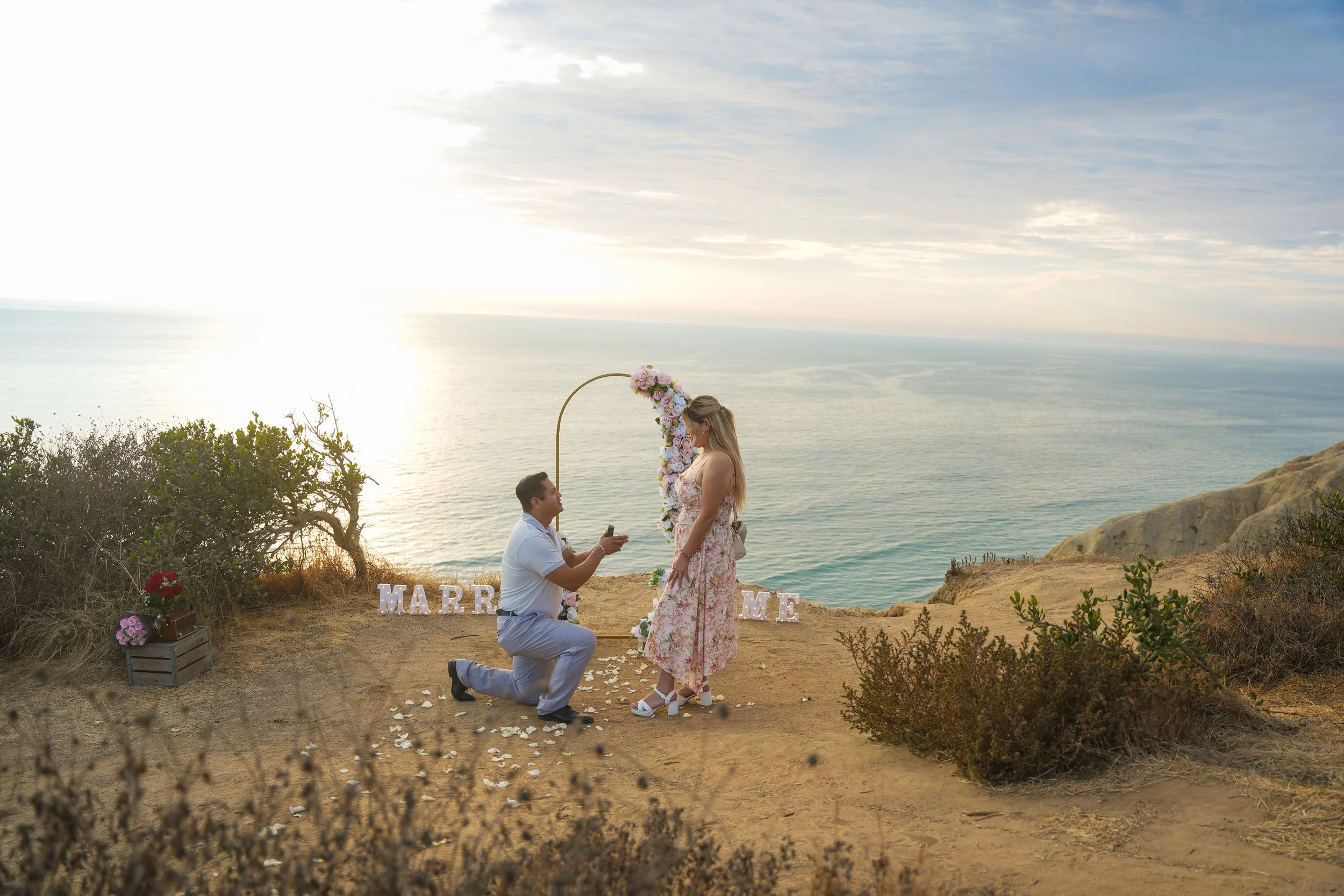 La Jolla Gliderport Surprise Proposal