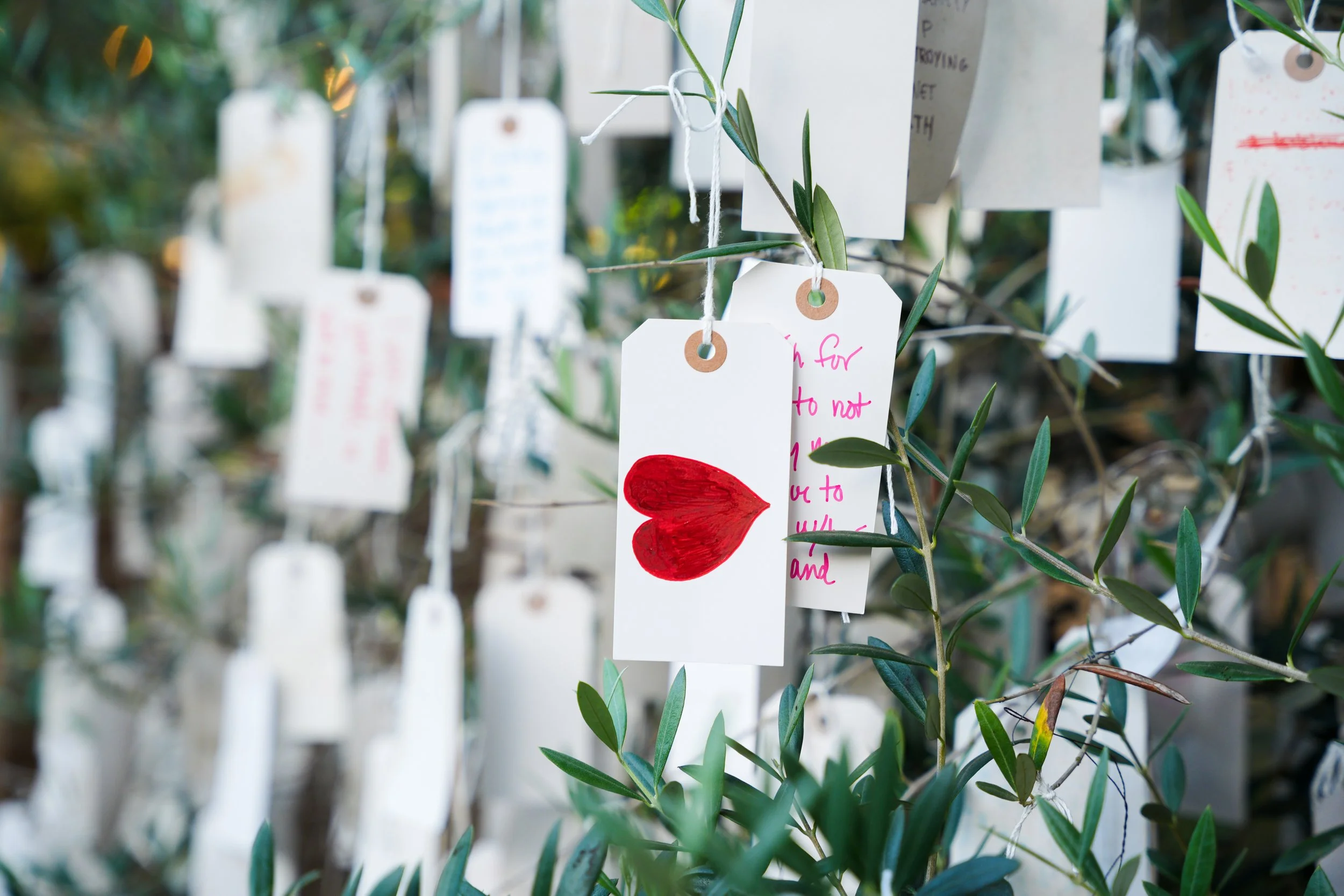 Personalized surprise proposal note hanging from the Wishing Tree at Estancia La Jolla Hotel & Spa in San Diego, California, prepared for David and Leila's engagement.