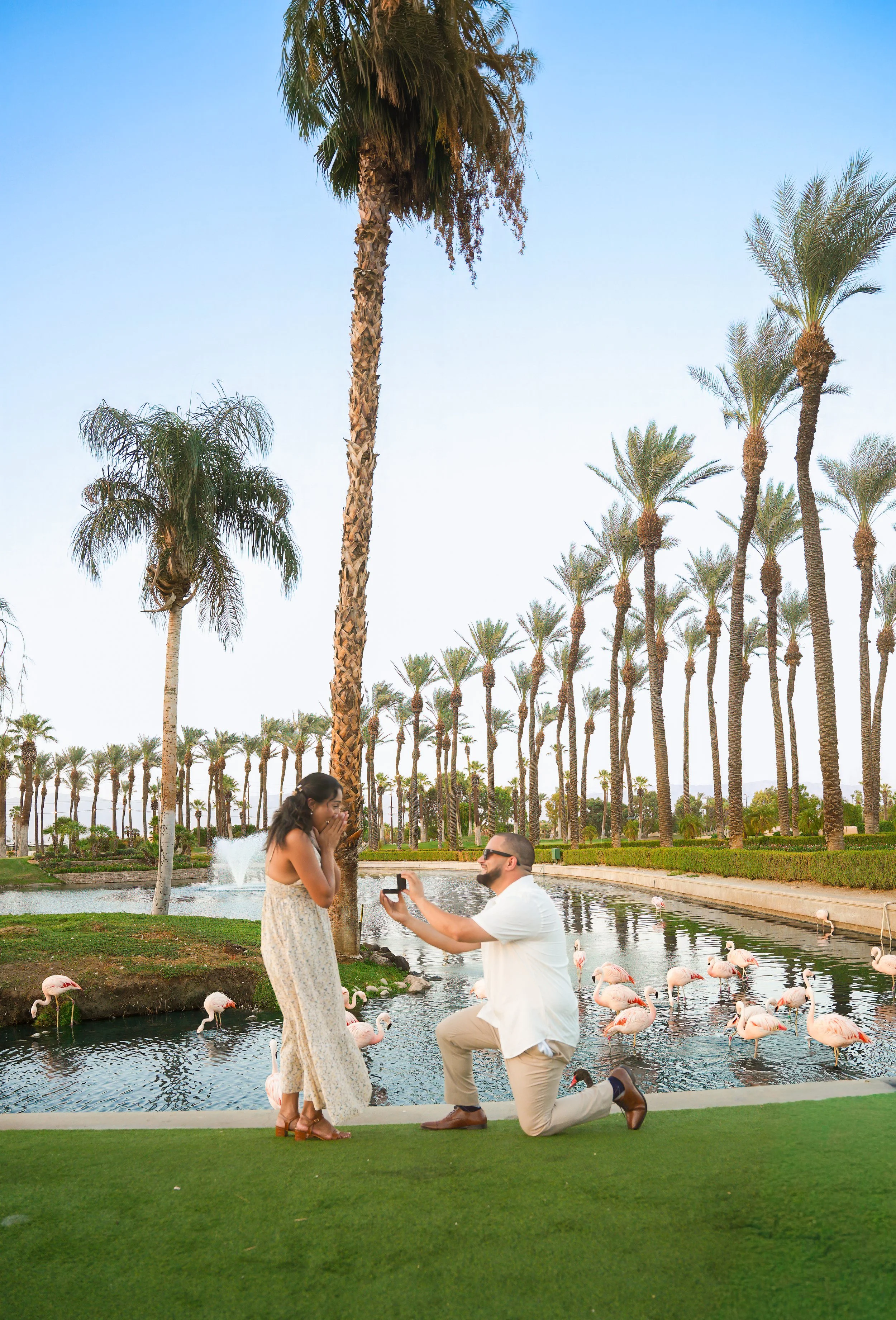 JW Marriott Palm Desert Flamingo Island Proposal