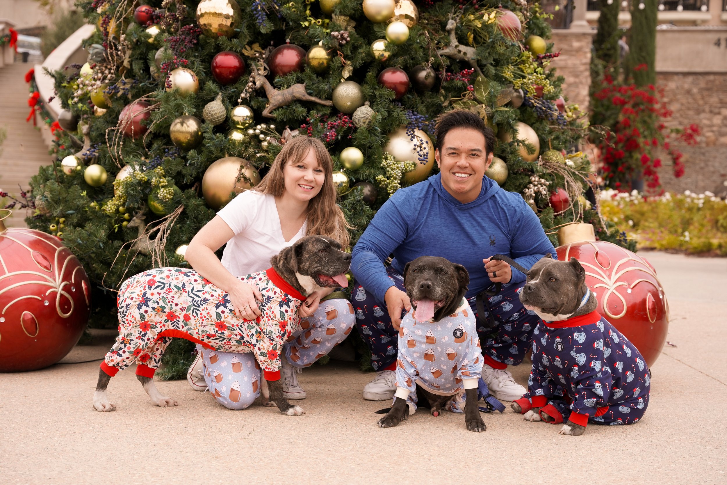 Holiday memories made at Europa Village Winery in Temecula! This beautiful family photoshoot featured cozy moments, vineyard charm, and their three adorable fur babies—capturing the joy of the season in one of Southern California’s most scenic wine c