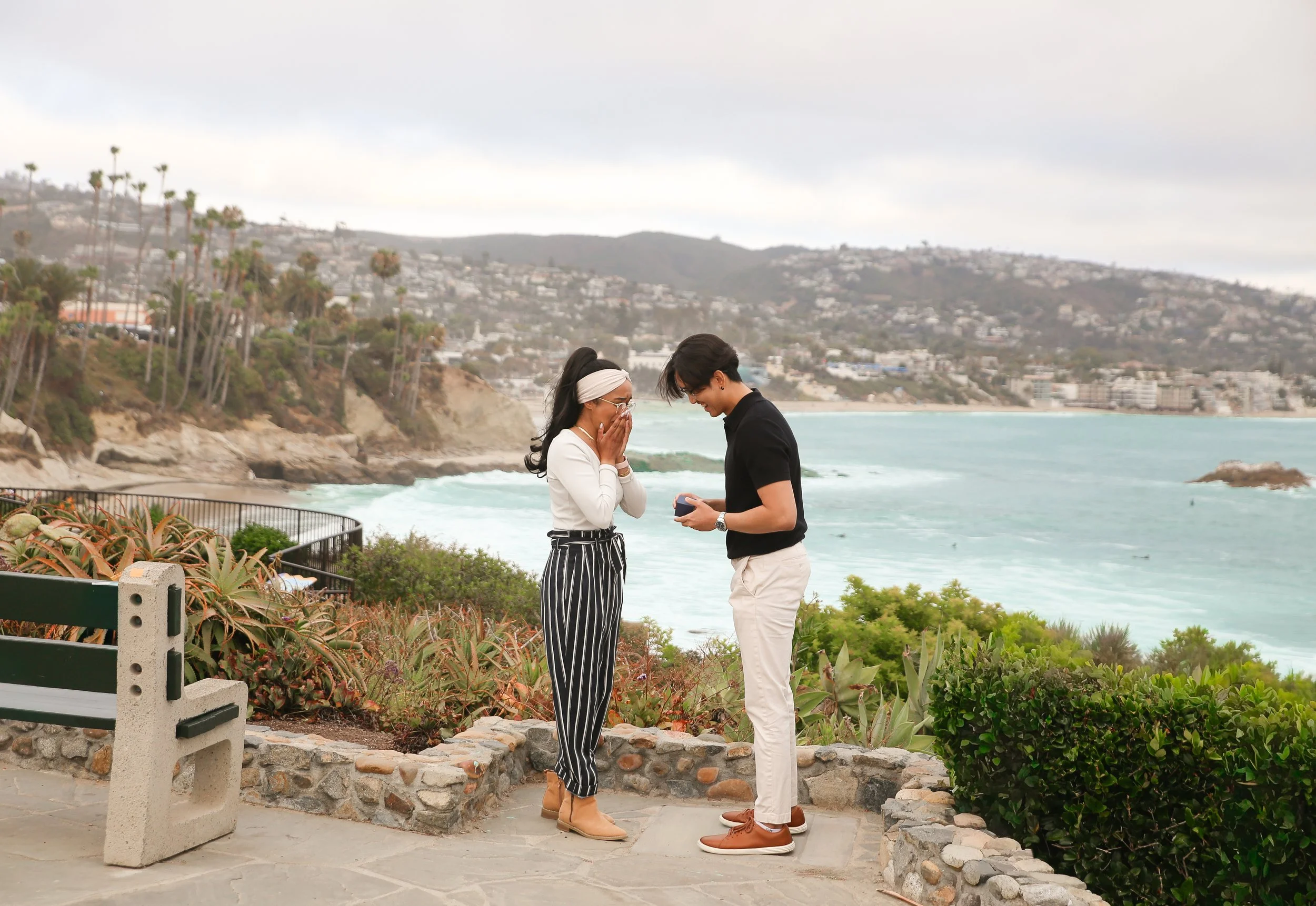 Laguna Beach Monument Point Surprise Proposal