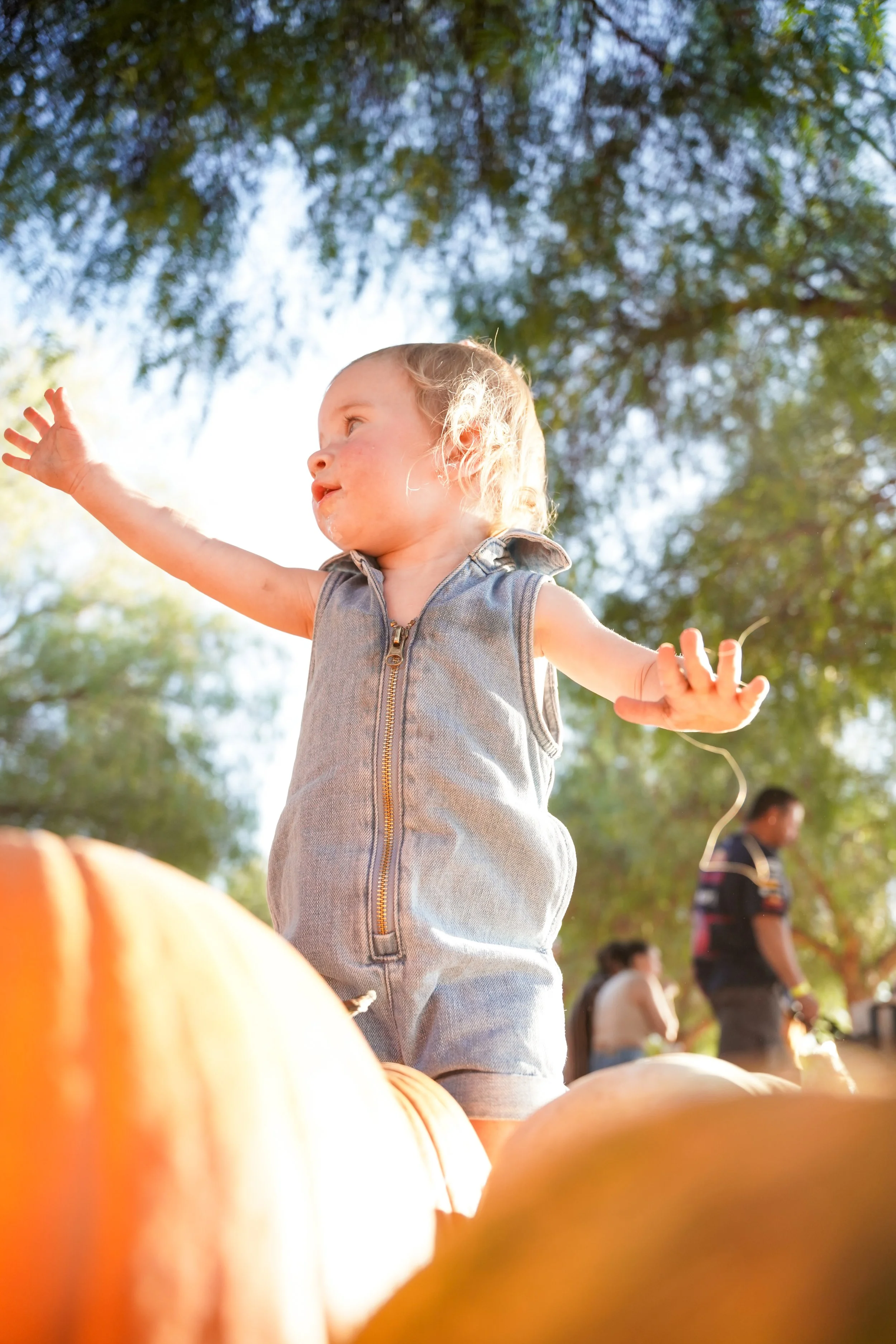 Fall family photos at the pumpkin patch in Temecula, CA! This seasonal photoshoot captured joyful moments with the kids, surrounded by pumpkins, golden light, and rustic charm—perfect for updating family portraits and celebrating autumn in SoCal.