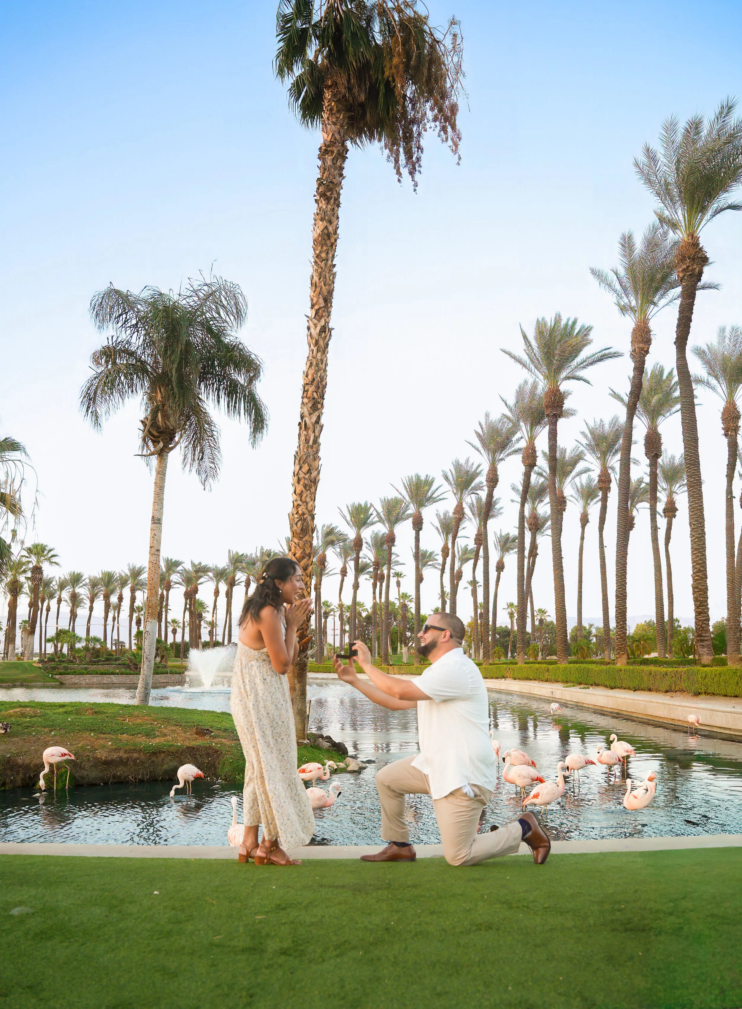 Flamingo Island Proposal in Palm Desert