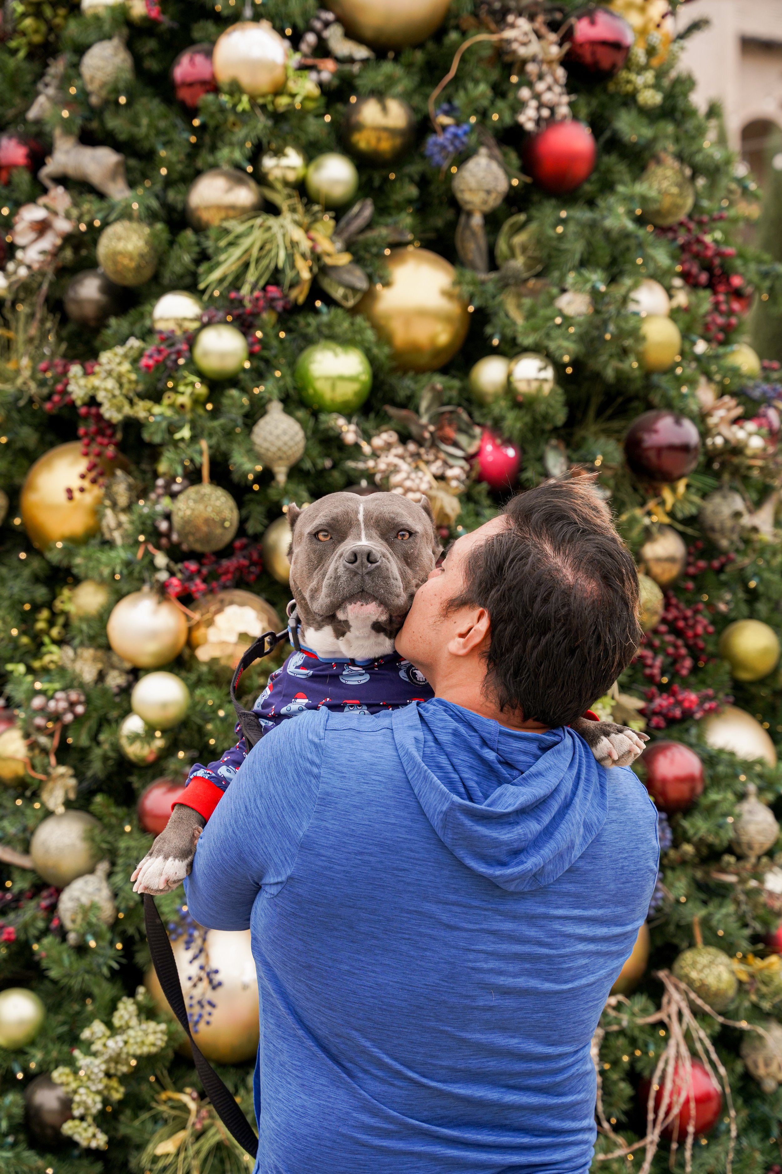 Holiday memories made at Europa Village Winery in Temecula! This beautiful family photoshoot featured cozy moments, vineyard charm, and their three adorable fur babies—capturing the joy of the season in one of Southern California’s most scenic wine c
