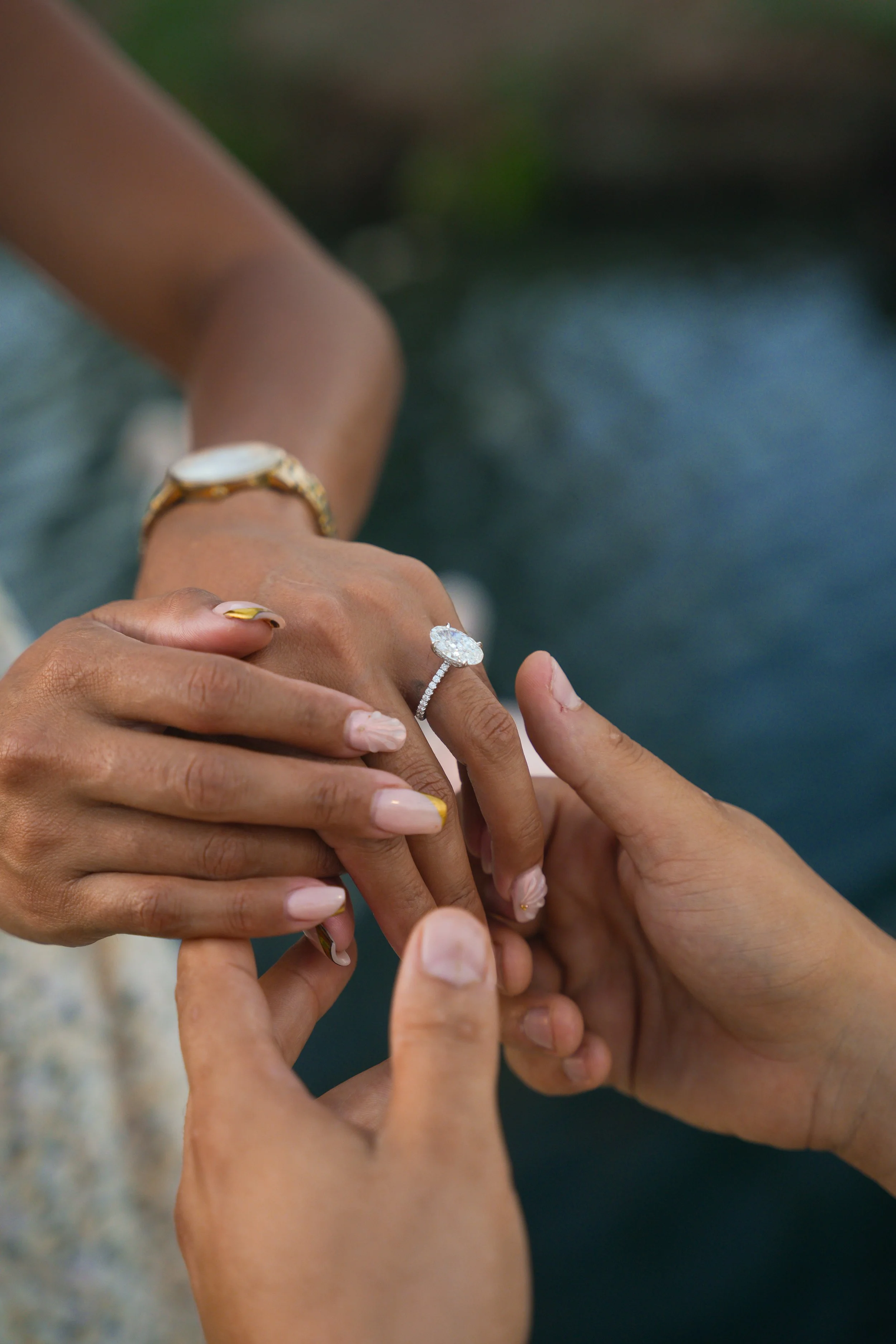 Flamingo Island Surprise Proposal