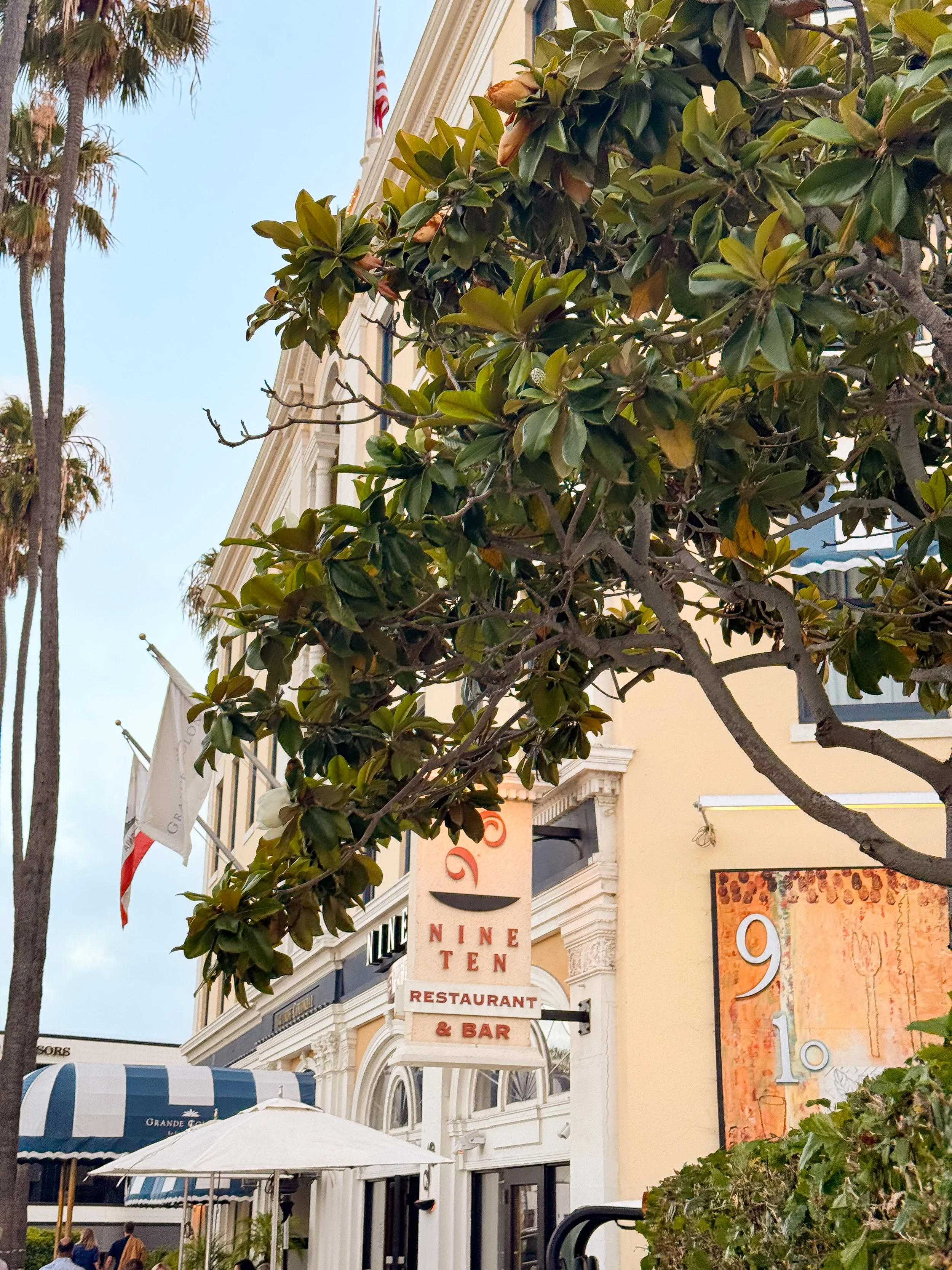 Undercover Proposal Photography in La Jolla