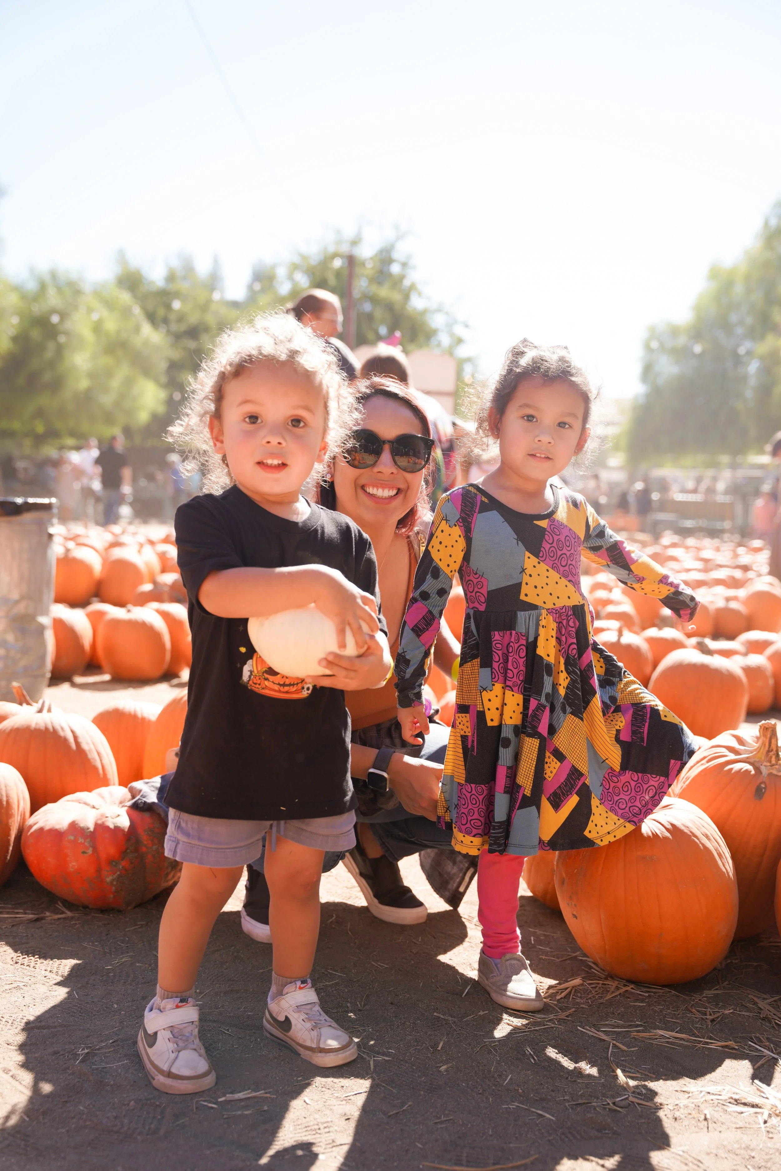 Capture your family’s fall tradition with Temecula pumpkin patch minis. Annual event, booking now for limited spots.