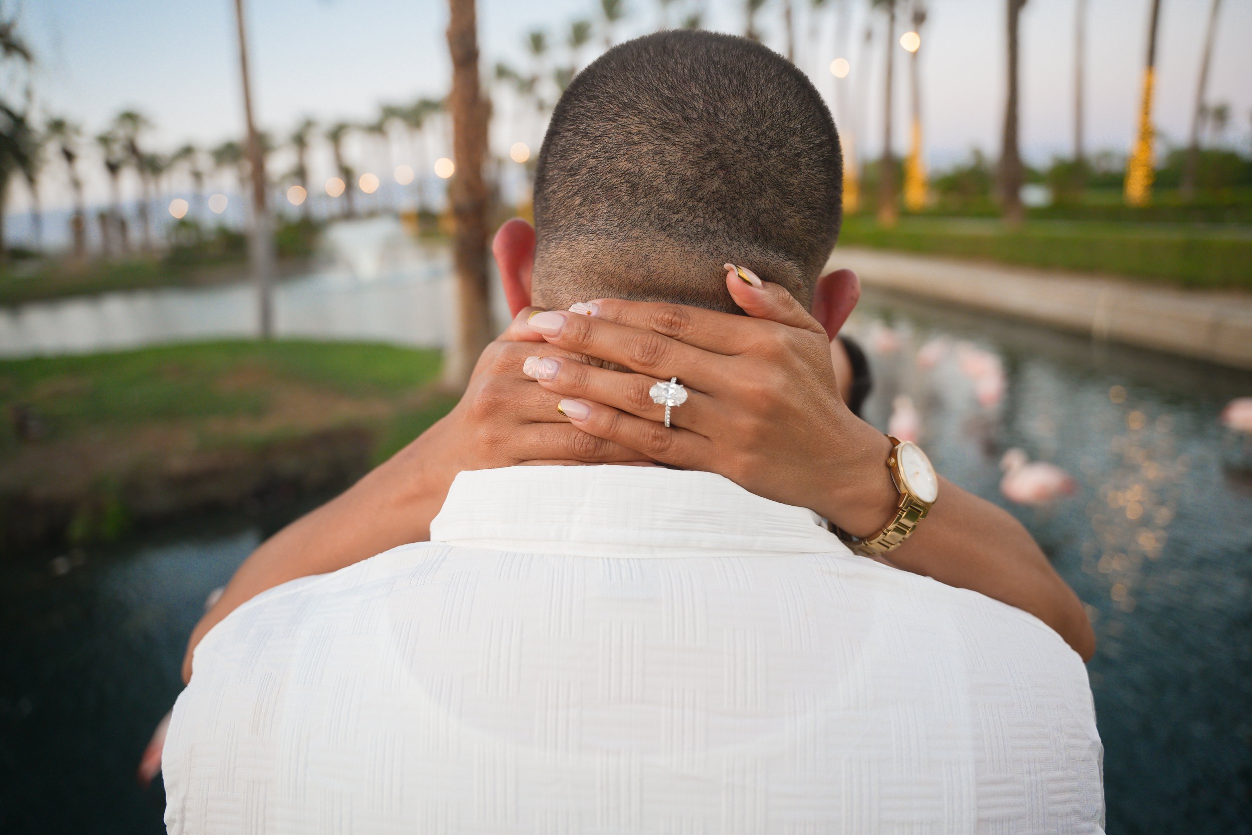 Flamingo Island Proposal at JW Marriott