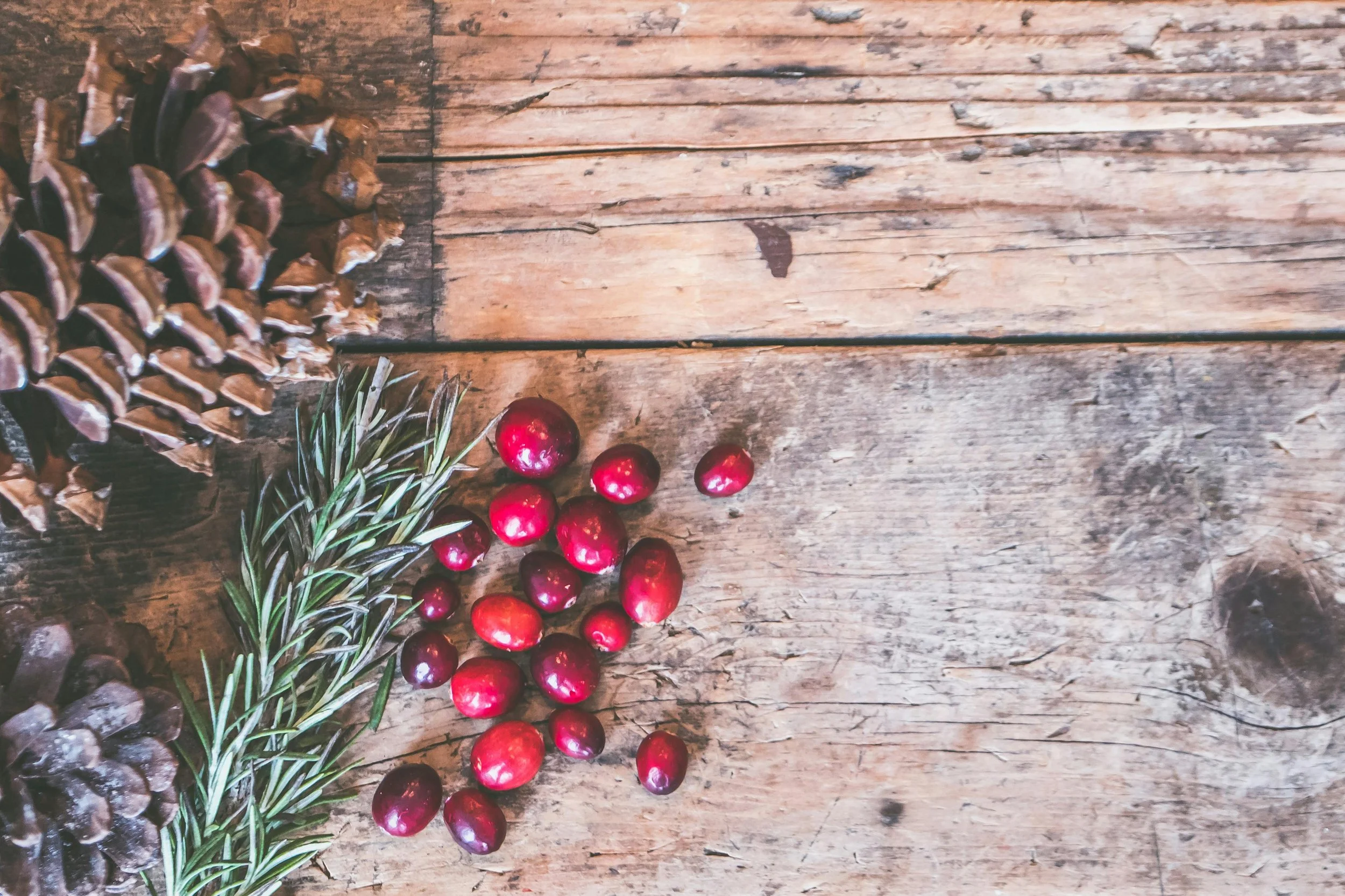 Grief & the Holidays