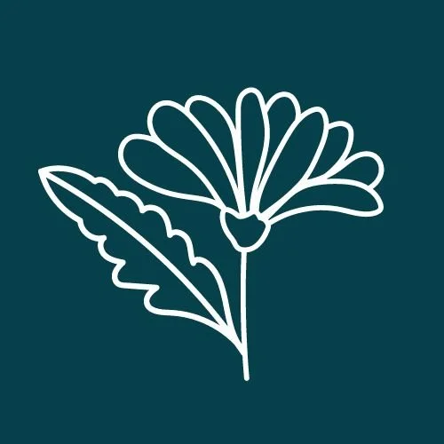 Spring: Harnessing the Energy of the Follicular Phase and Its Impact on PMDD