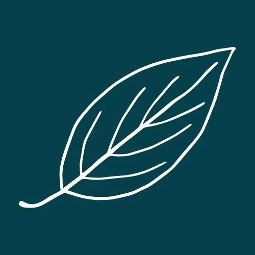 Fall: Navigating the Luteal Phase and Its Impact on PMDD