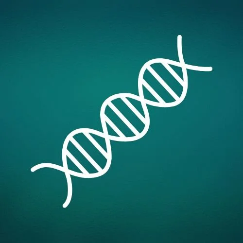 MTHFR Polymorphism and Its Correlation with PMDD: The Role of Active Folate