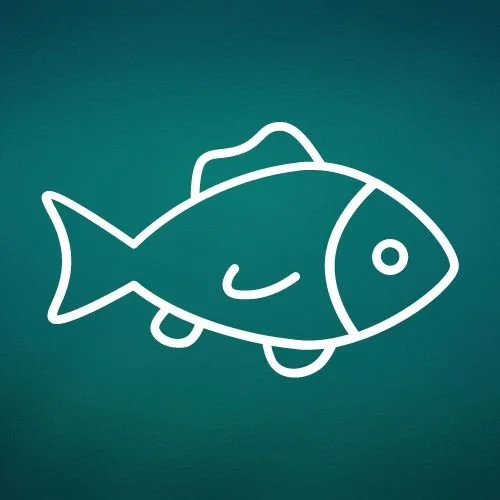 Omega-3 Fatty Acids: Treating PMDD with Anti-Inflammatory and Mental Health Support