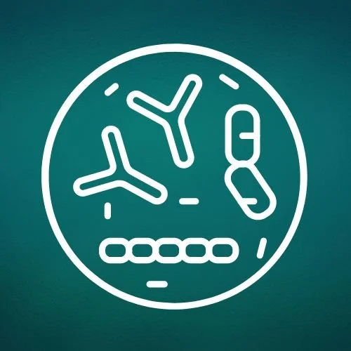 Probiotics and PMDD: A Deeper Dive into Gut-Brain Axis Modulation
