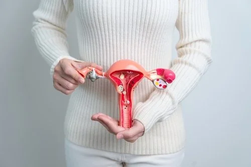 Woman holding uterus and ovaries, polycystic ovary syndrome, PCOS, PMOS