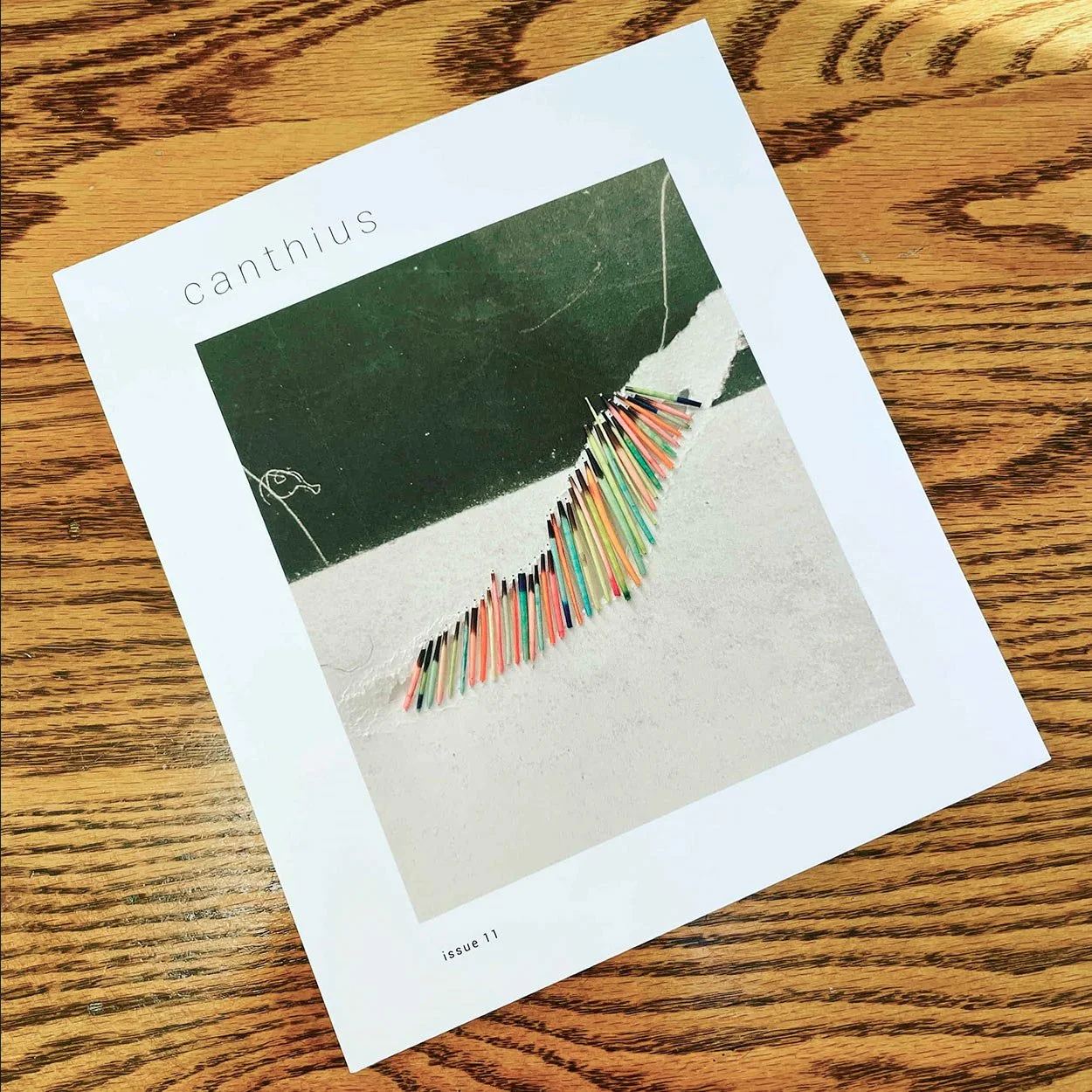 The cover of CANTHIUS ISSUE 22, an artwork with coloured pencils fanning winglike across a white and green background.