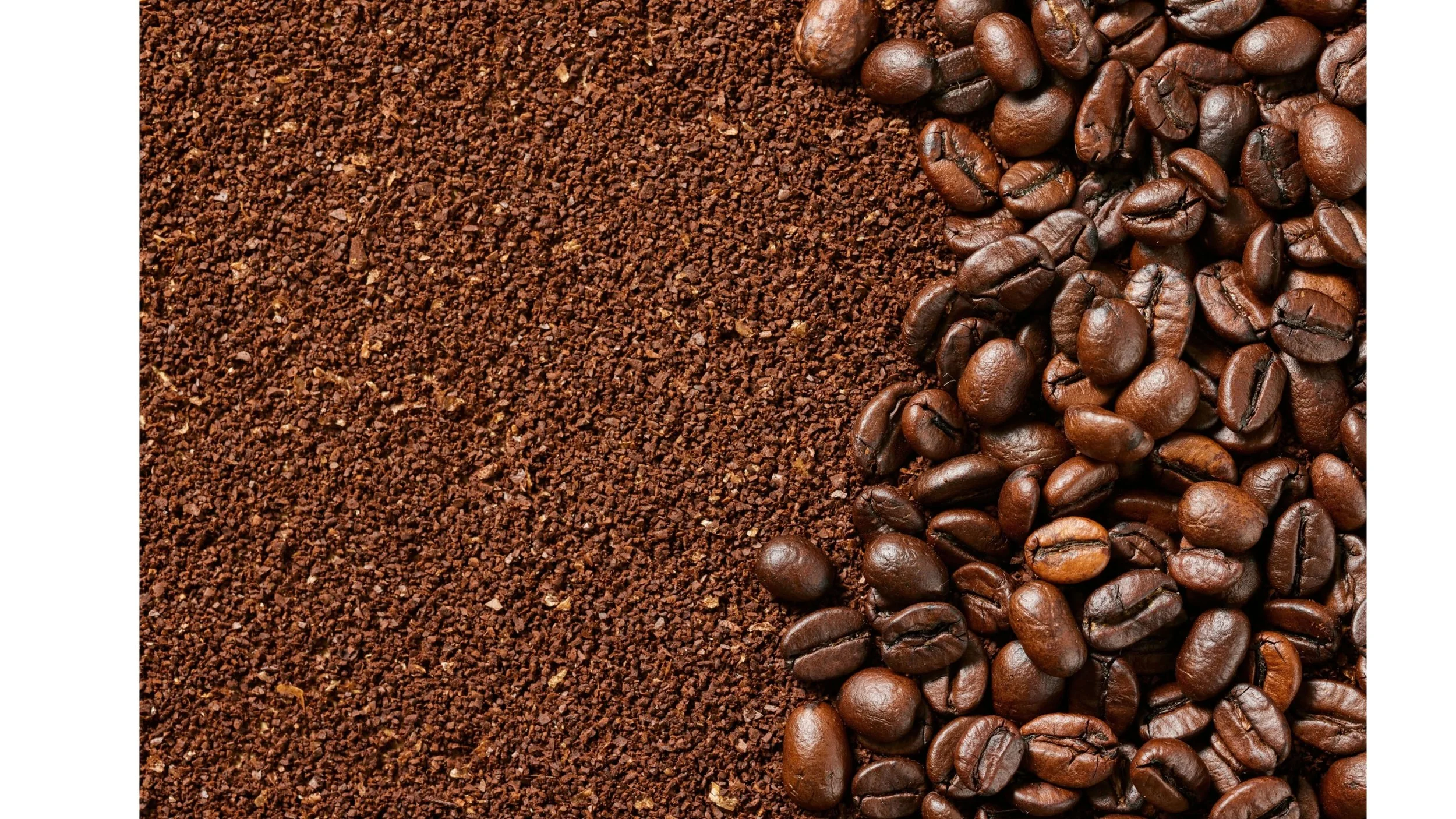Photo of ground coffee and coffee beans for blog about coffee mold-free.