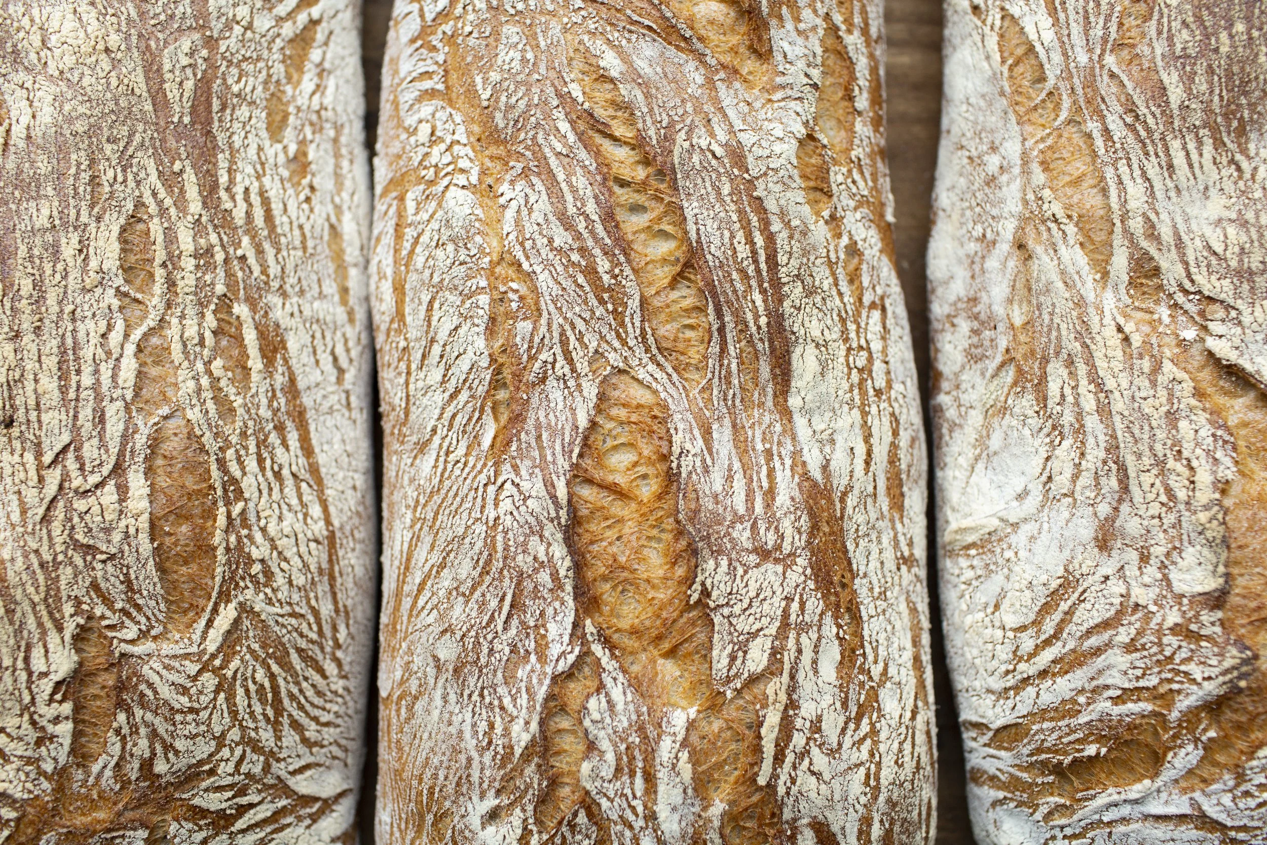 Closeup image of crusty rustic loaves of bread.
