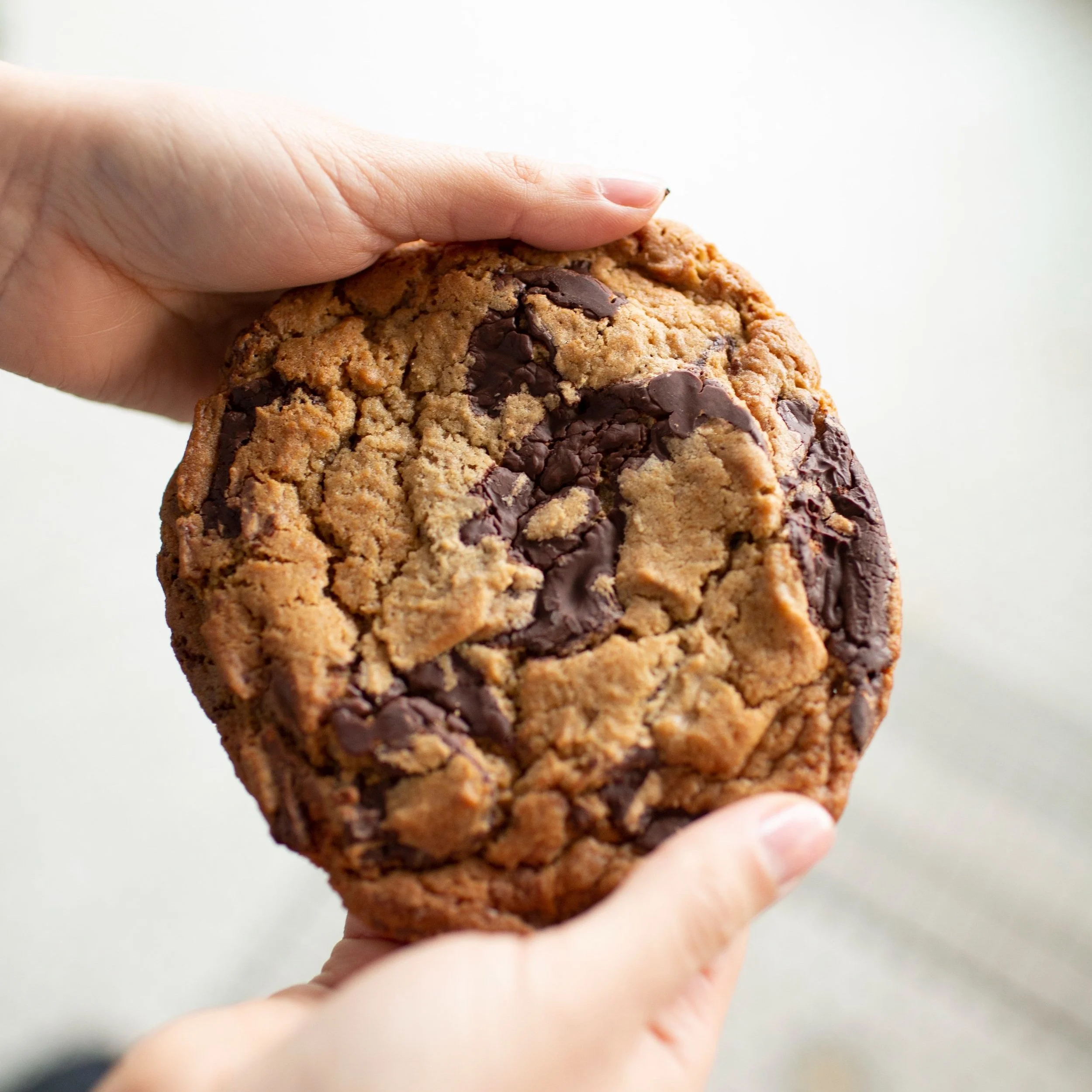Double chocolate chip cookie