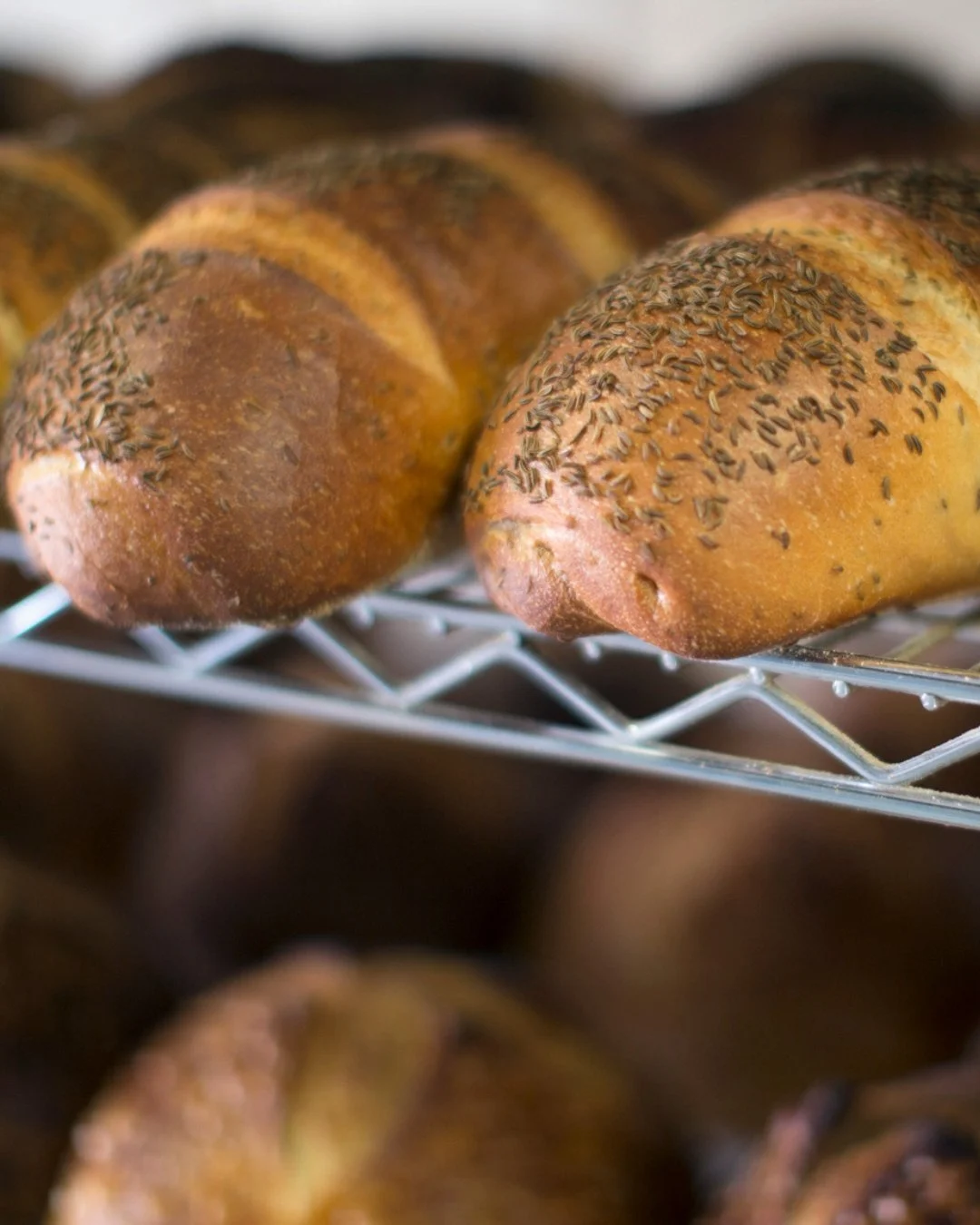 Rye Bread.jpg