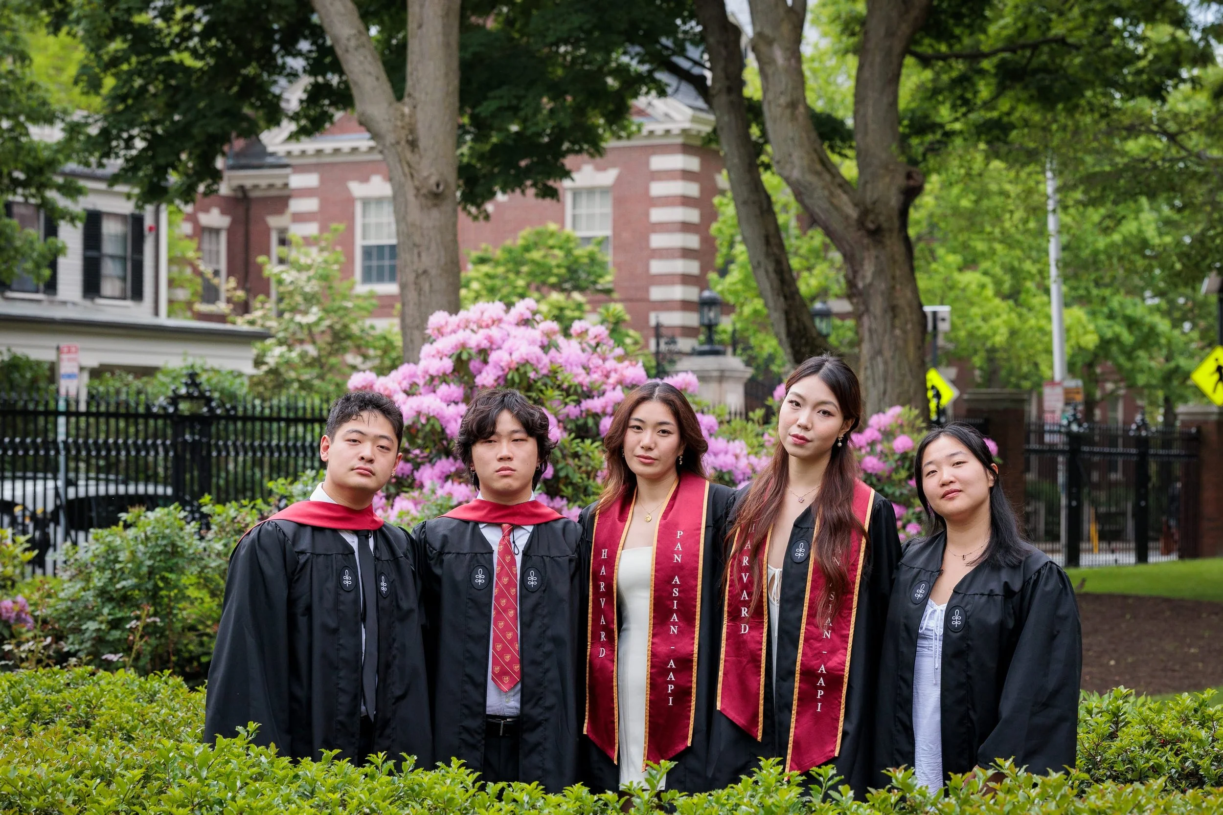 20250530-113746-Canon EOS R6m2-4J5A9537.jpg