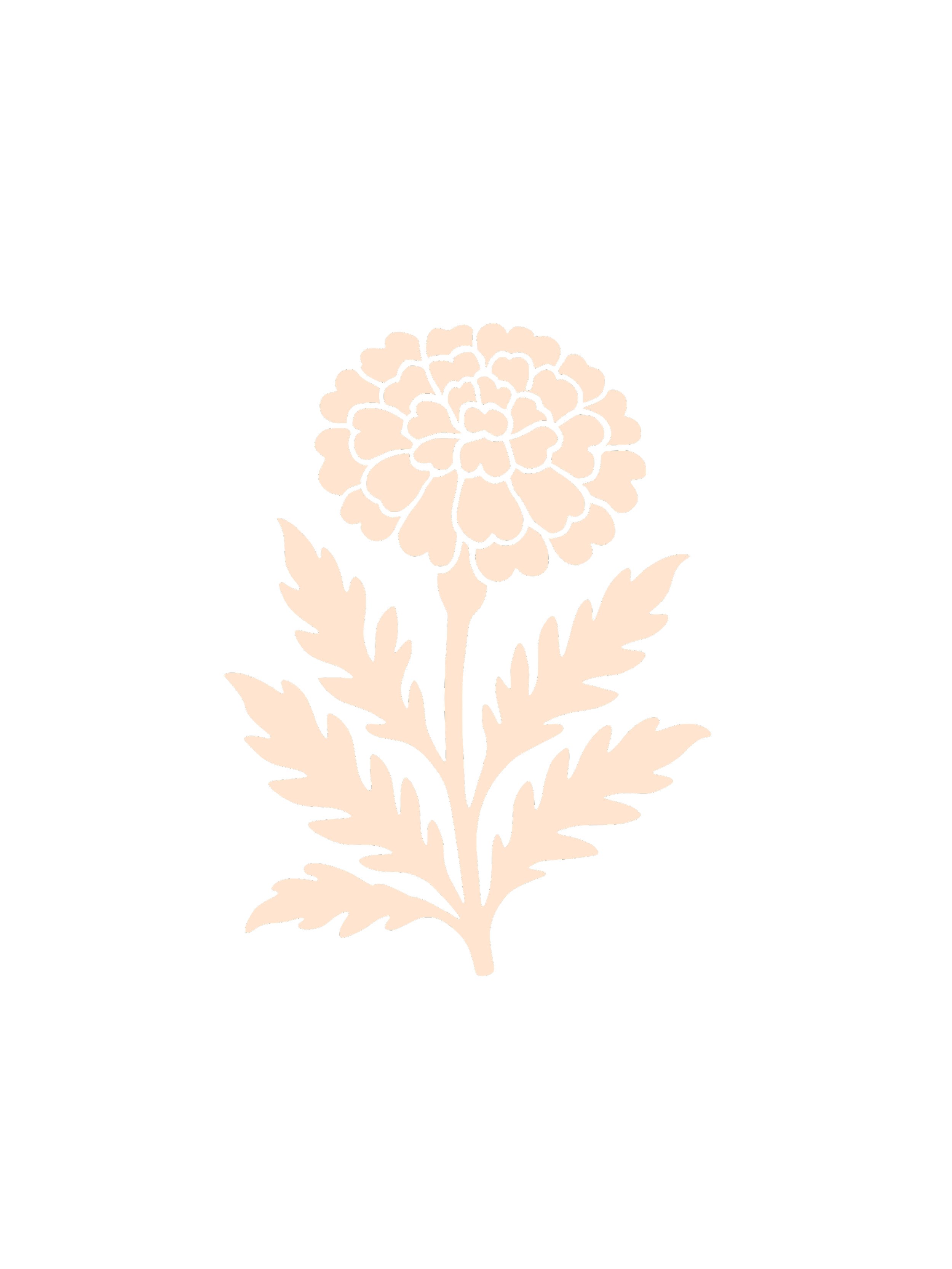 A beige stylized illustration of a single marigold flower with leaves, the Harvest &Bloom logo