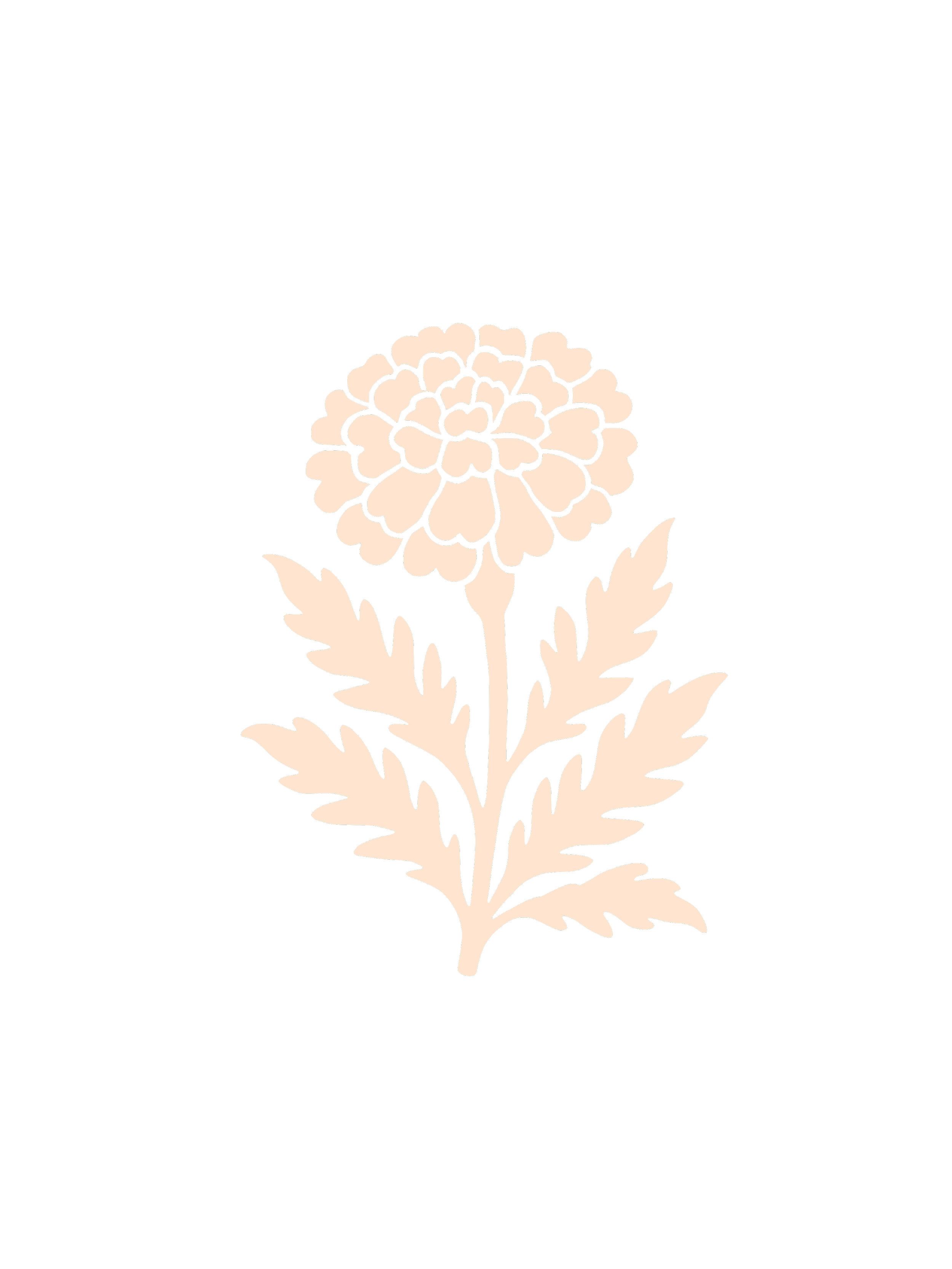 The Harvest & Bloom logo being a beige silhouette of a marigold flower with detailed petals and leaves.