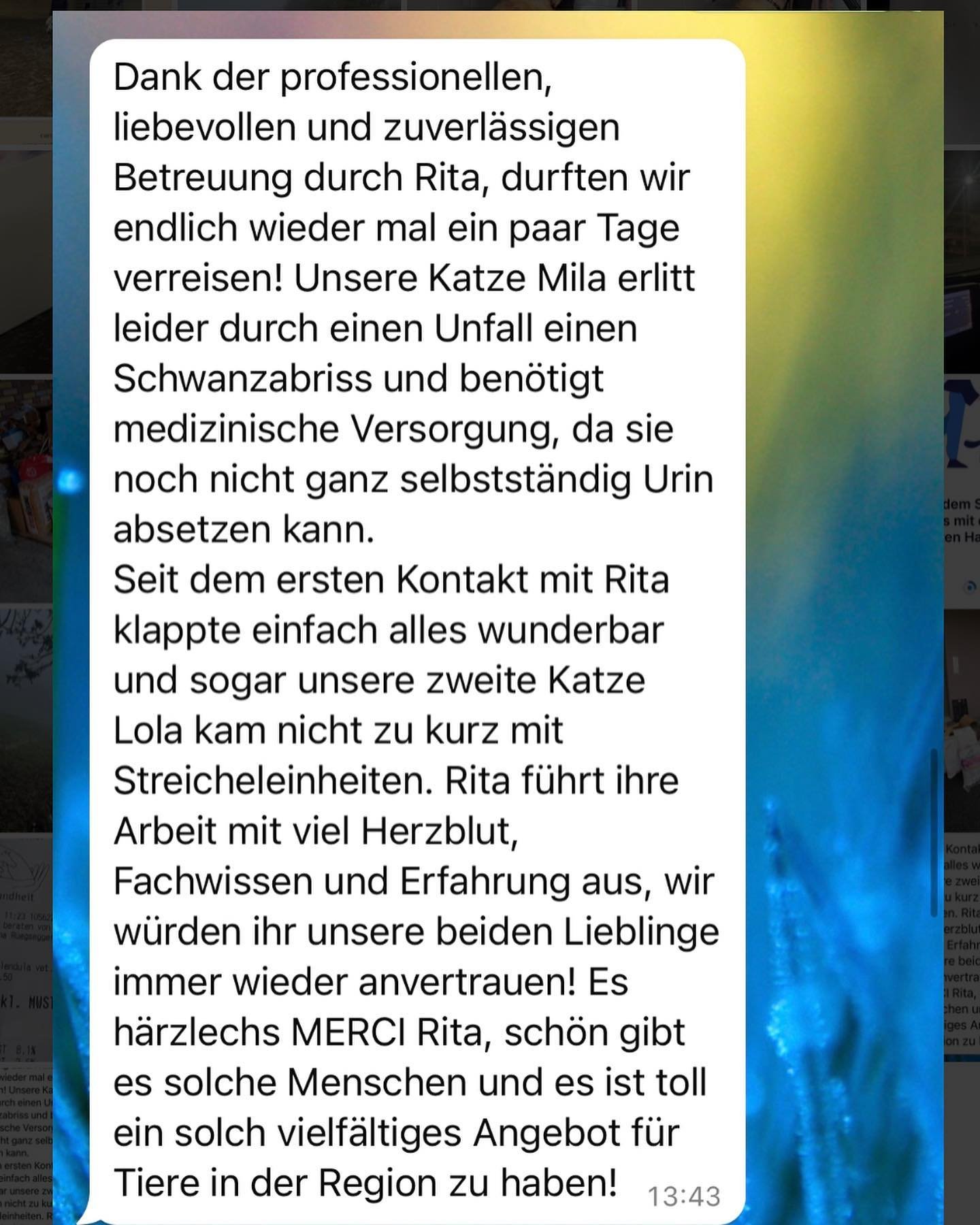 Kunden Feedback &hearts;️🙏 herzlichen Dank f&uuml;r das Vertrauen an die lieben Besitzer von Mila &amp;Lola 🫶🙏 #betreeungzuhause #katze #unfall #vertrauen #beotierspitex