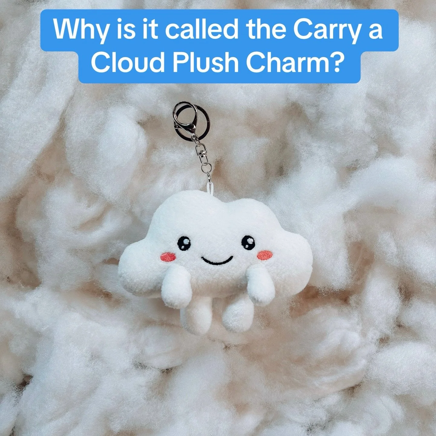 Why is it called the Carry a Cloud Plush Charm? ☁️

For kids who experience abuse, dissociation often becomes a way to survive. They drift &ldquo;into the clouds&rdquo; to find a sense of safety. This charm was created to honor that escape, but now i