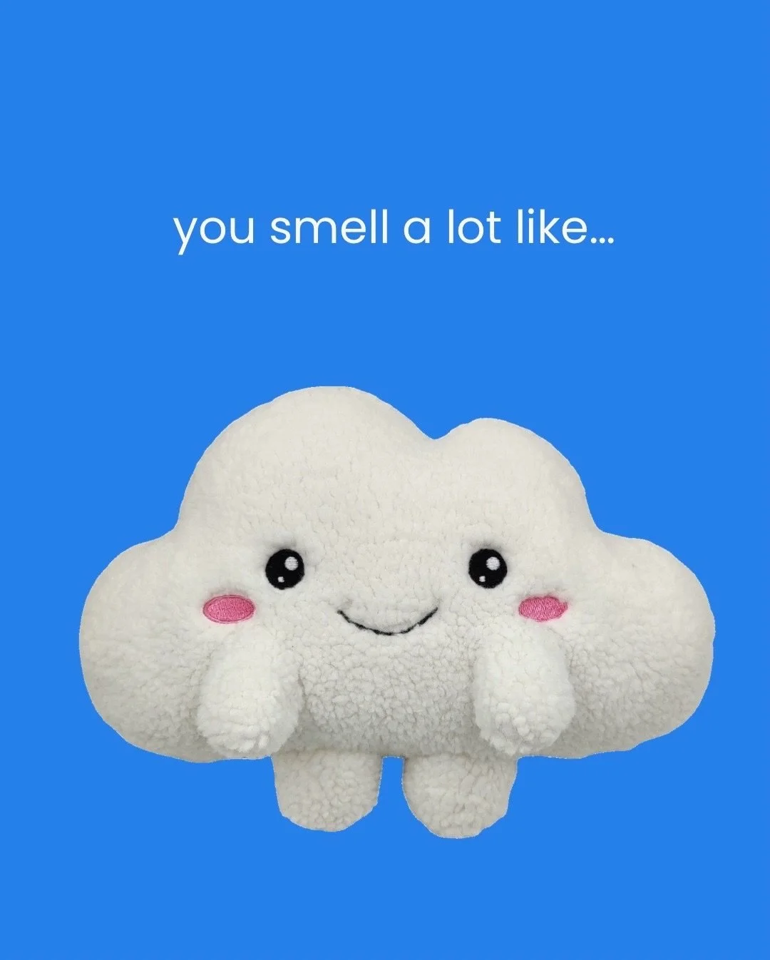 You smell a lot like&hellip;

#mentalhealthreminders #positivity #bekind #softreminder #worthyoflove