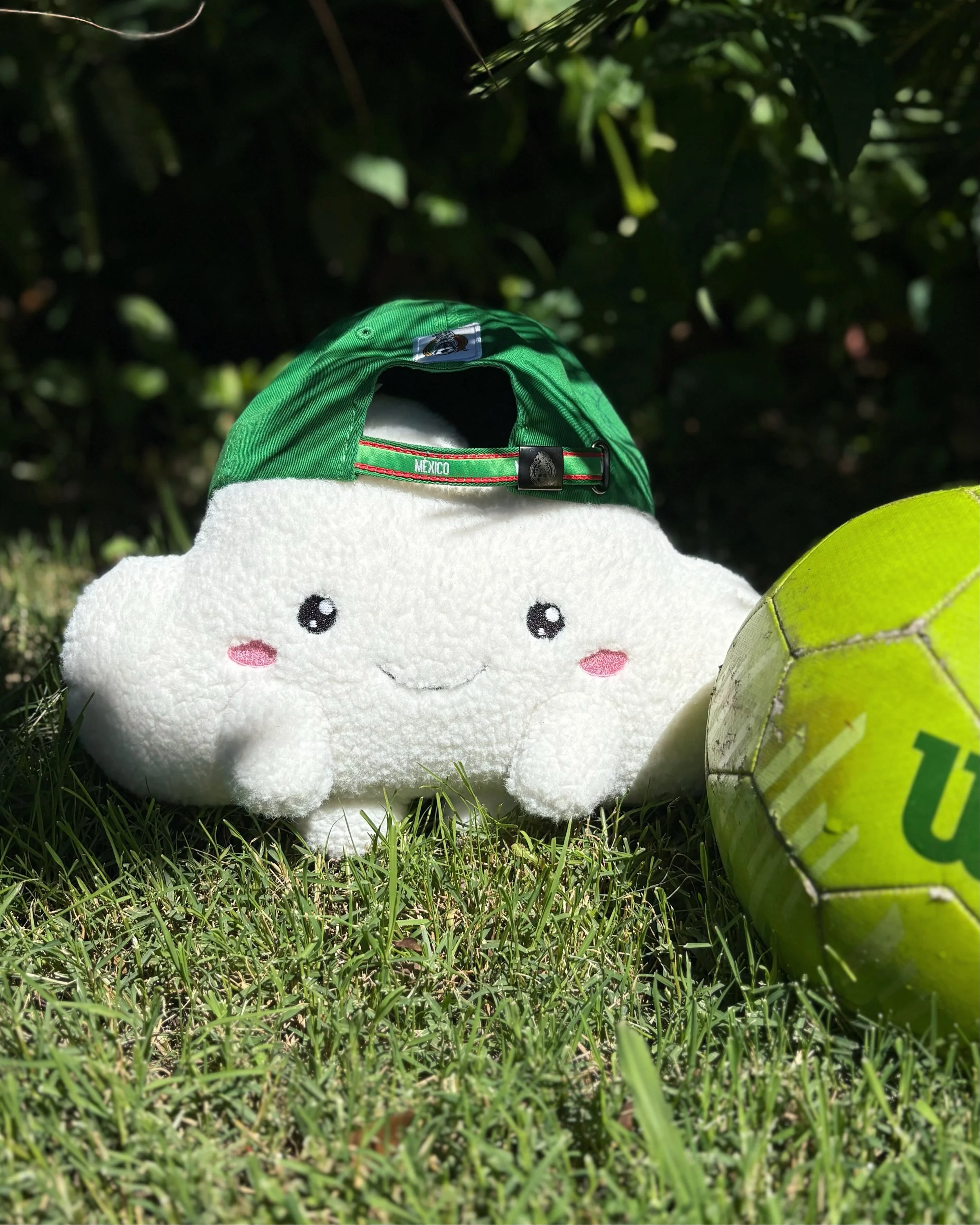 No matter who you&rsquo;re rooting for, we&rsquo;re cheering for brighter skies ☁️⚽️

Happy World Cup Day!

#worldcup #worldcup2026 #soccerworld #plushies #plush