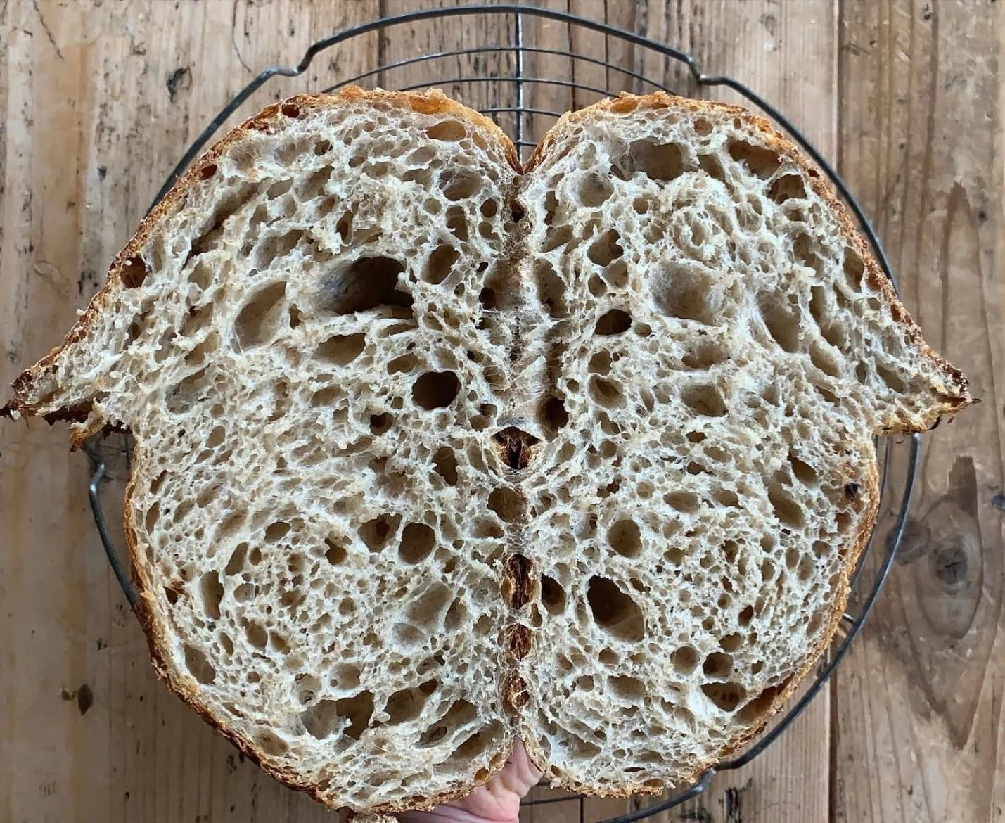 Sarah Raisbeck - Bread Day