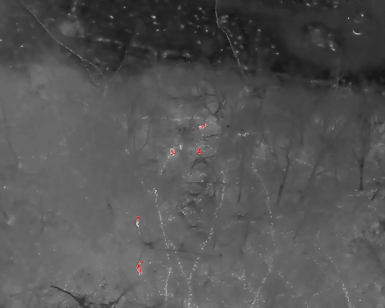 Dark, cracked surface with small scattered red and white candy wrappers.