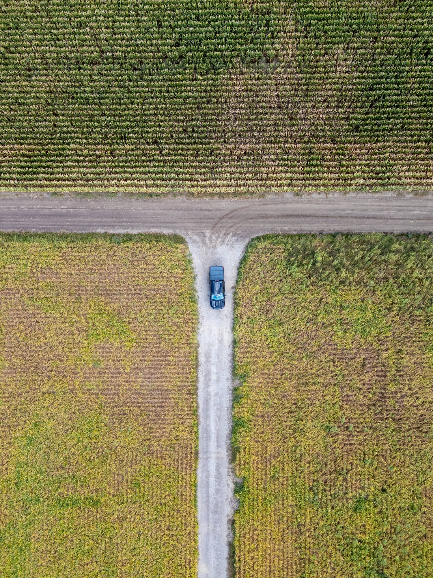An aerial view of a black SUV at a T-intersection in a rural area, with fields of crops on either side.