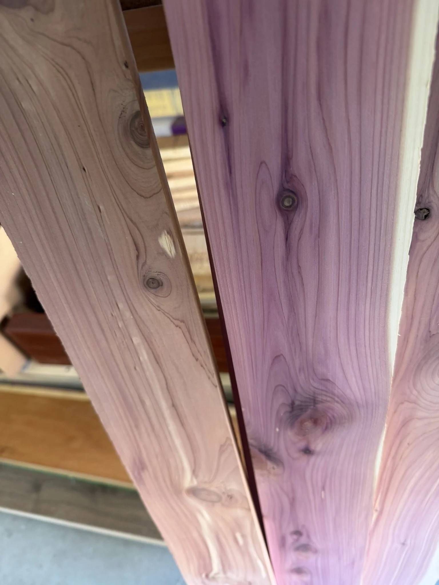 Cedar: Before and After Planing - 

Preparing to rebuild the interior shelf, we surfaced fresh cedar boards to reveal their vibrant natural color and grain.  The planed board on the right showcases the rich purple and creamy contrast of aromatic ceda