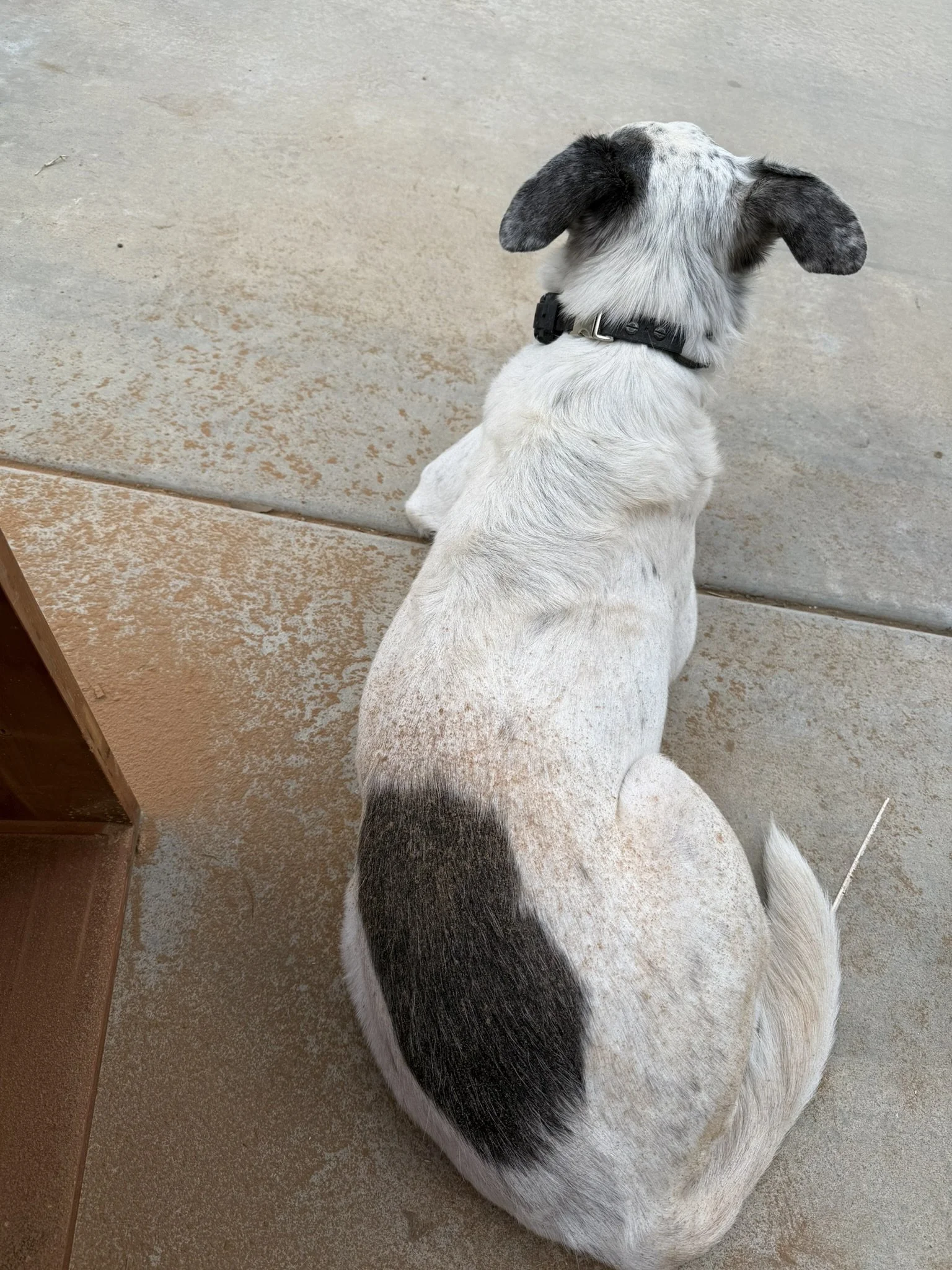 So Much Dust - 

The shop supervisors had a scrub down after work before they were allowed back in the house.


