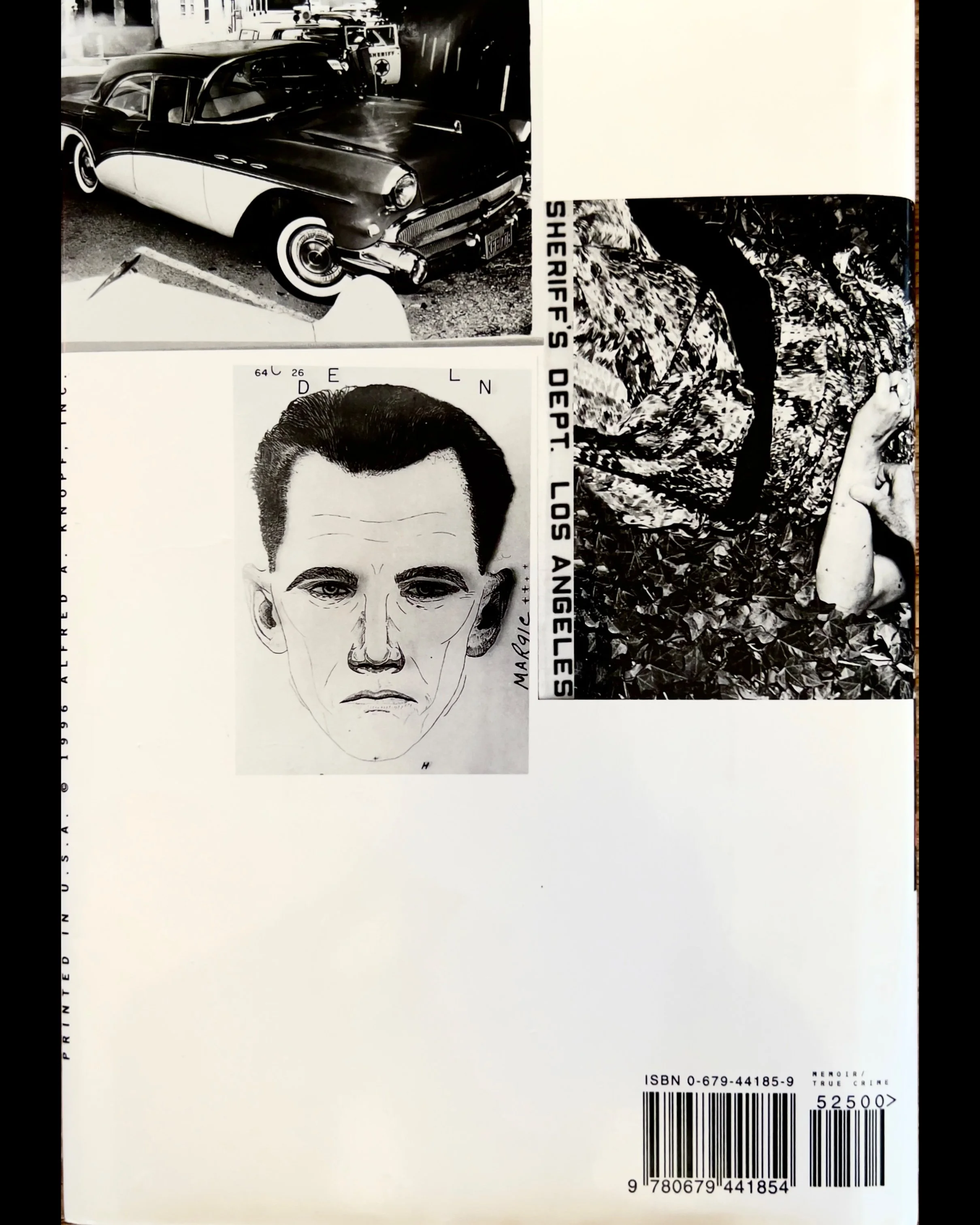 ISIMG-705742.JPG (Copy)