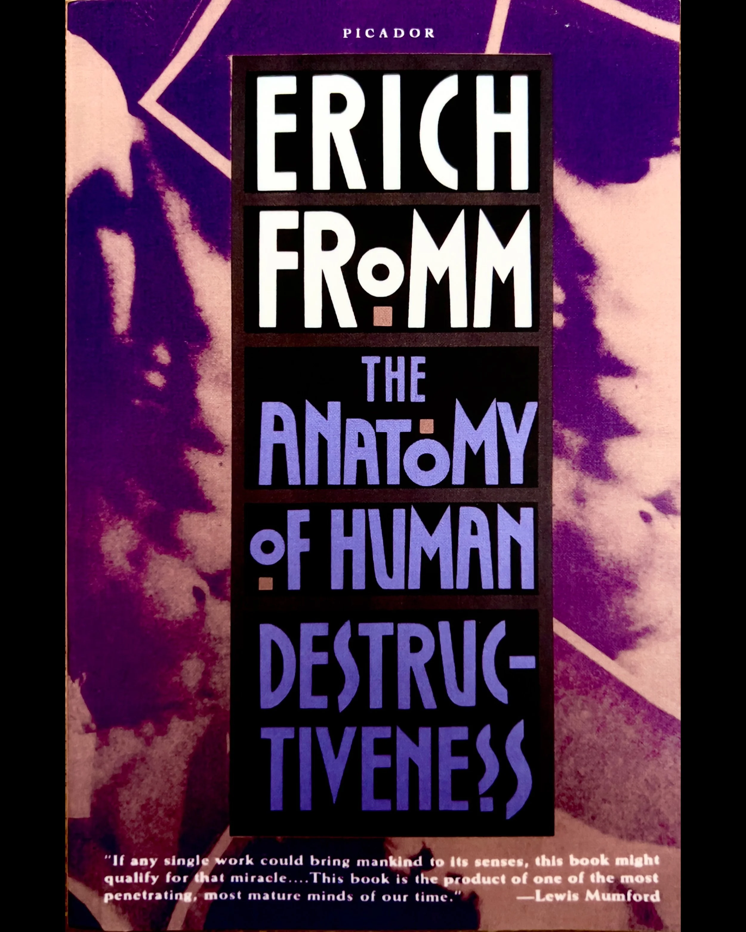 ISIMG-1131494.JPG (Copy)