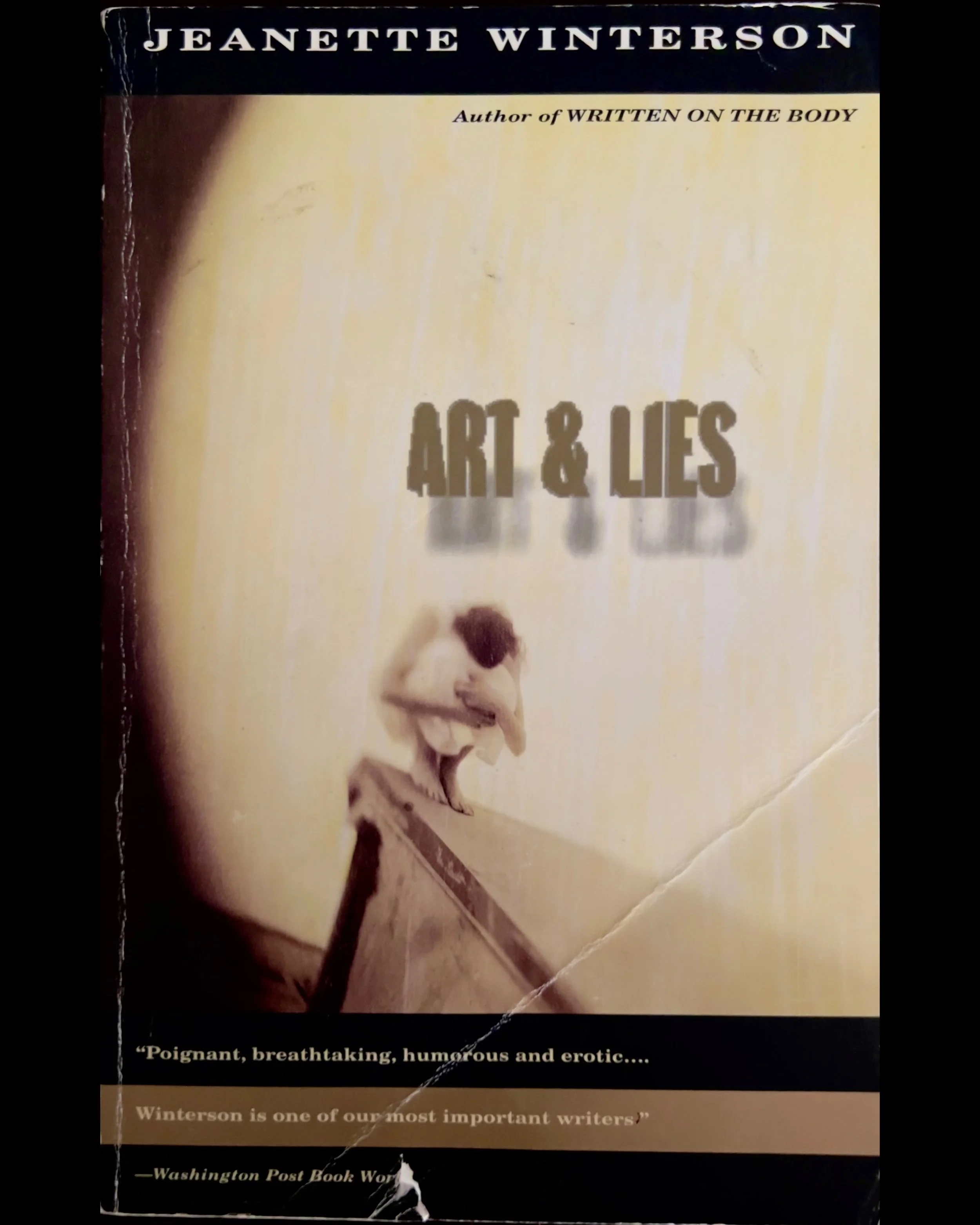 Art & Lies - Jeanette Winterson