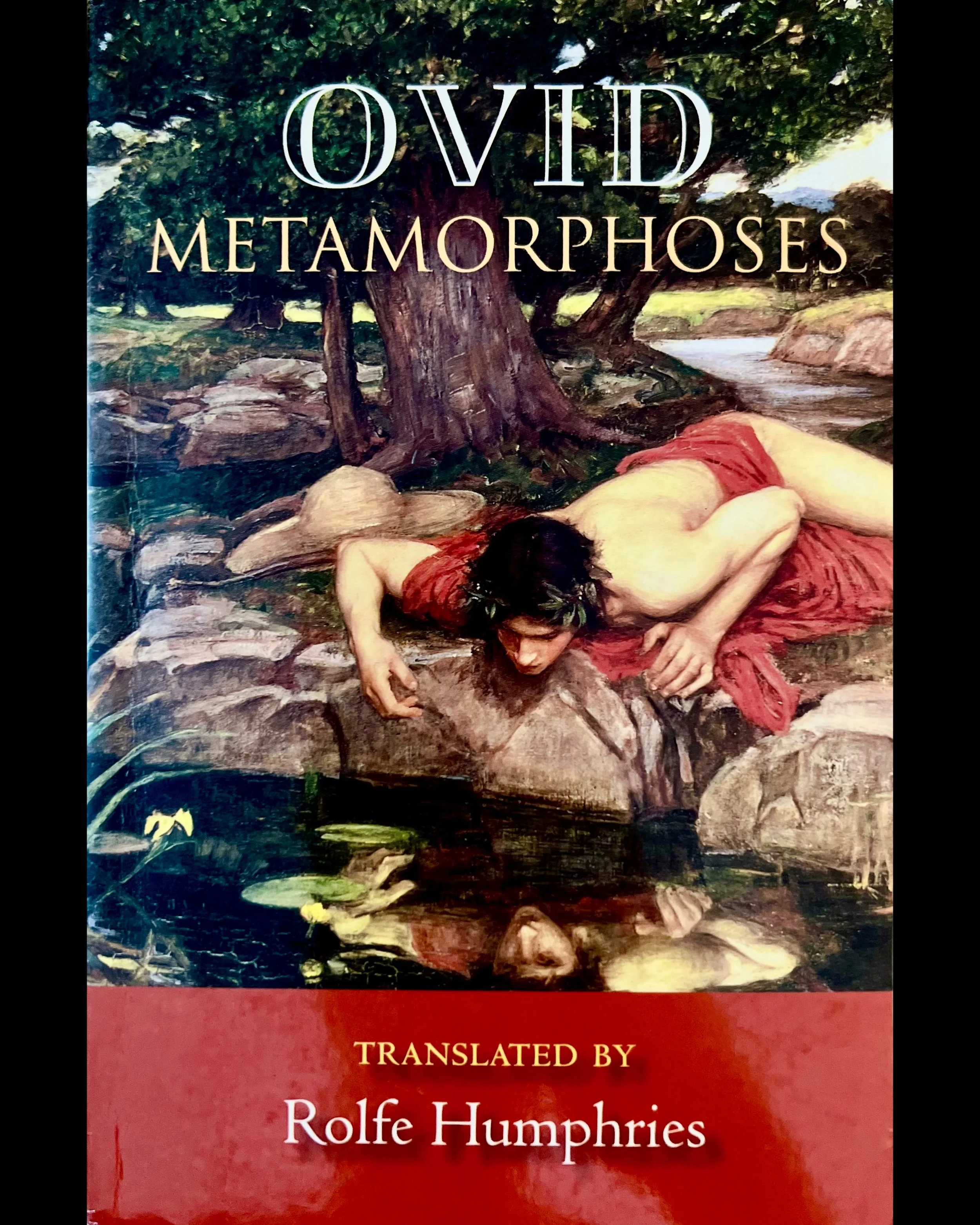 ISIMG-725871.JPG (Copy)